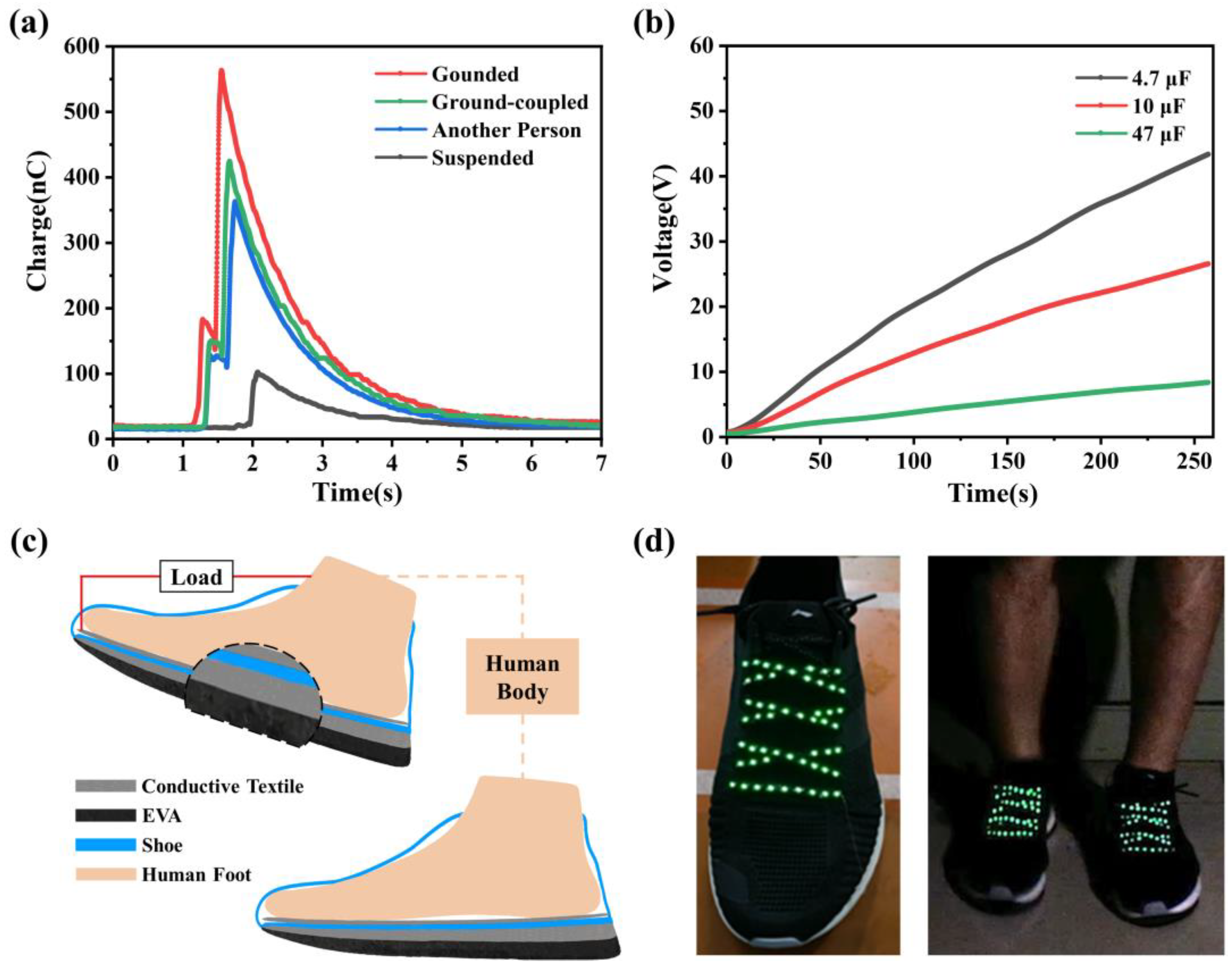 Biosensors 13 00548 g004