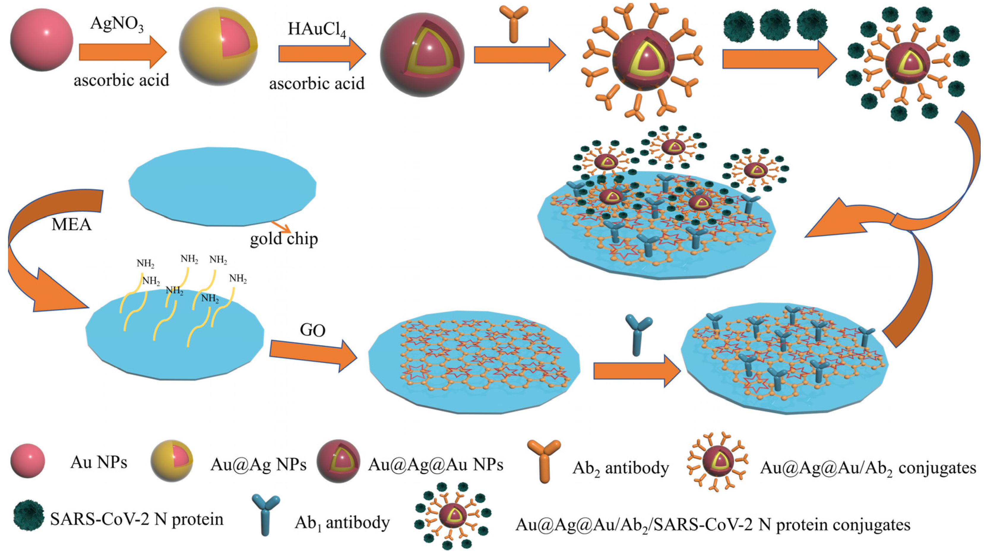 Biosensors 13 00549 g001 Biosensors 13 00549 g001