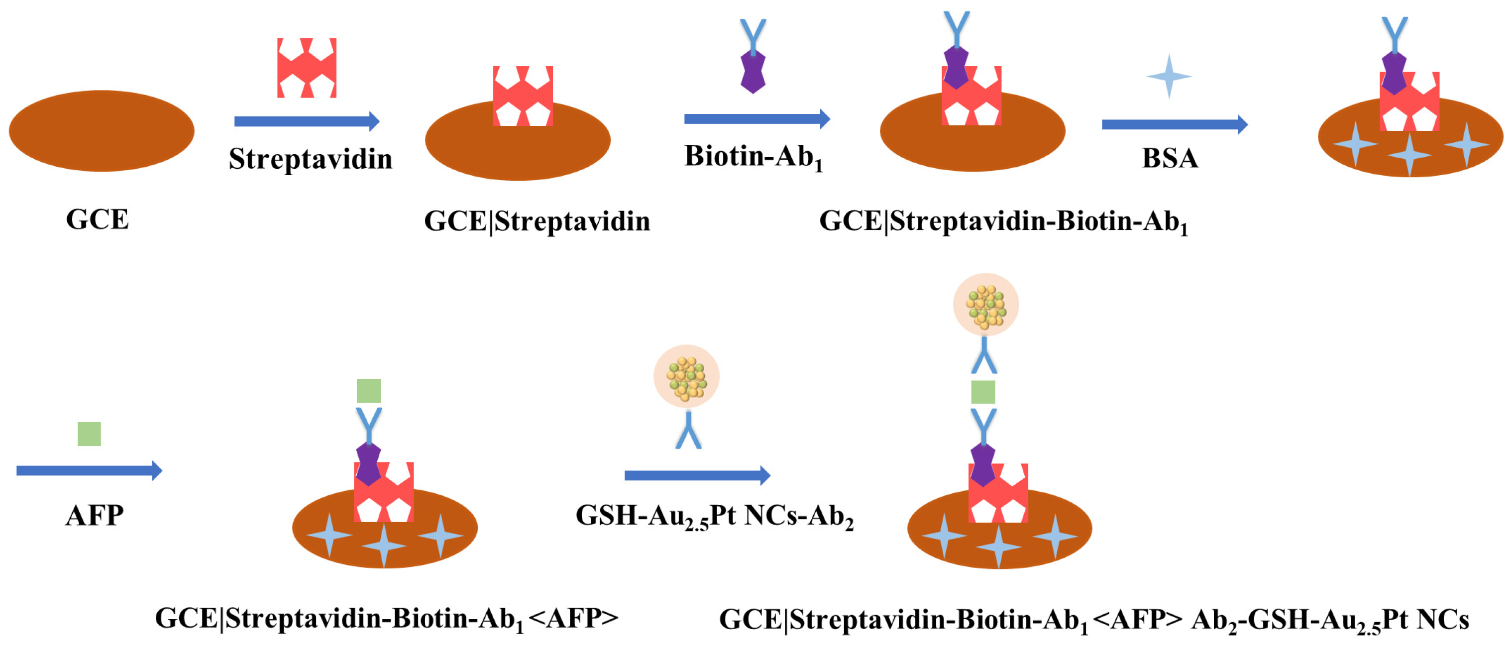 Biosensors 13 00550 sch001 Biosensors 13 00550 sch001
