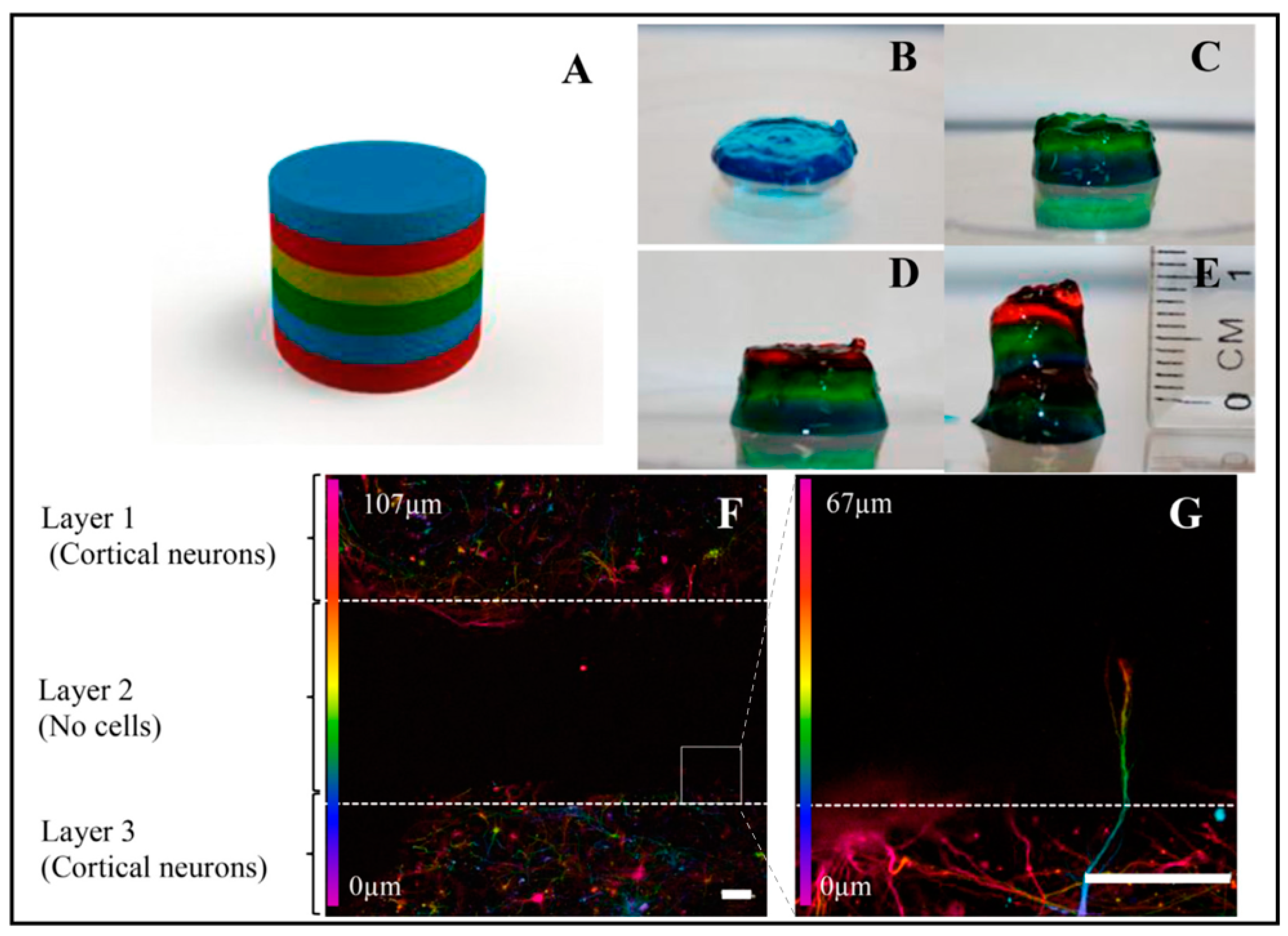 Biosensors 13 00551 g011