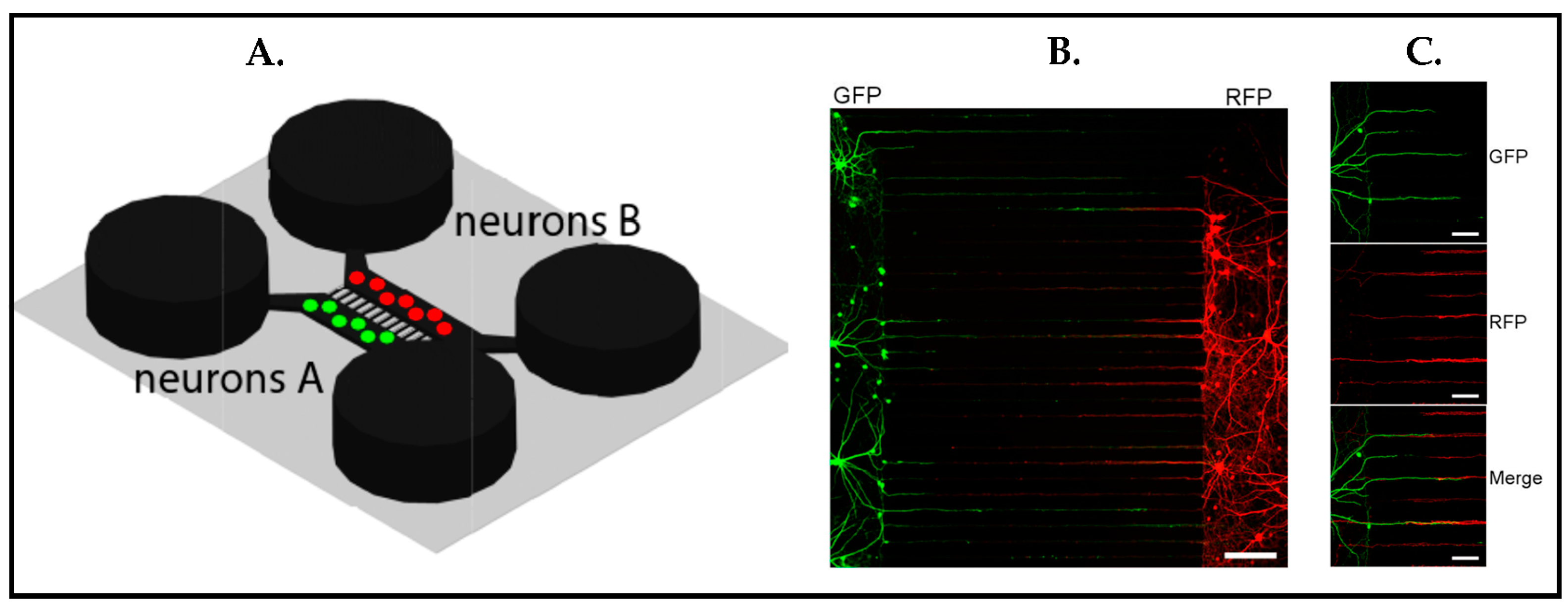 Biosensors 13 00551 g018
