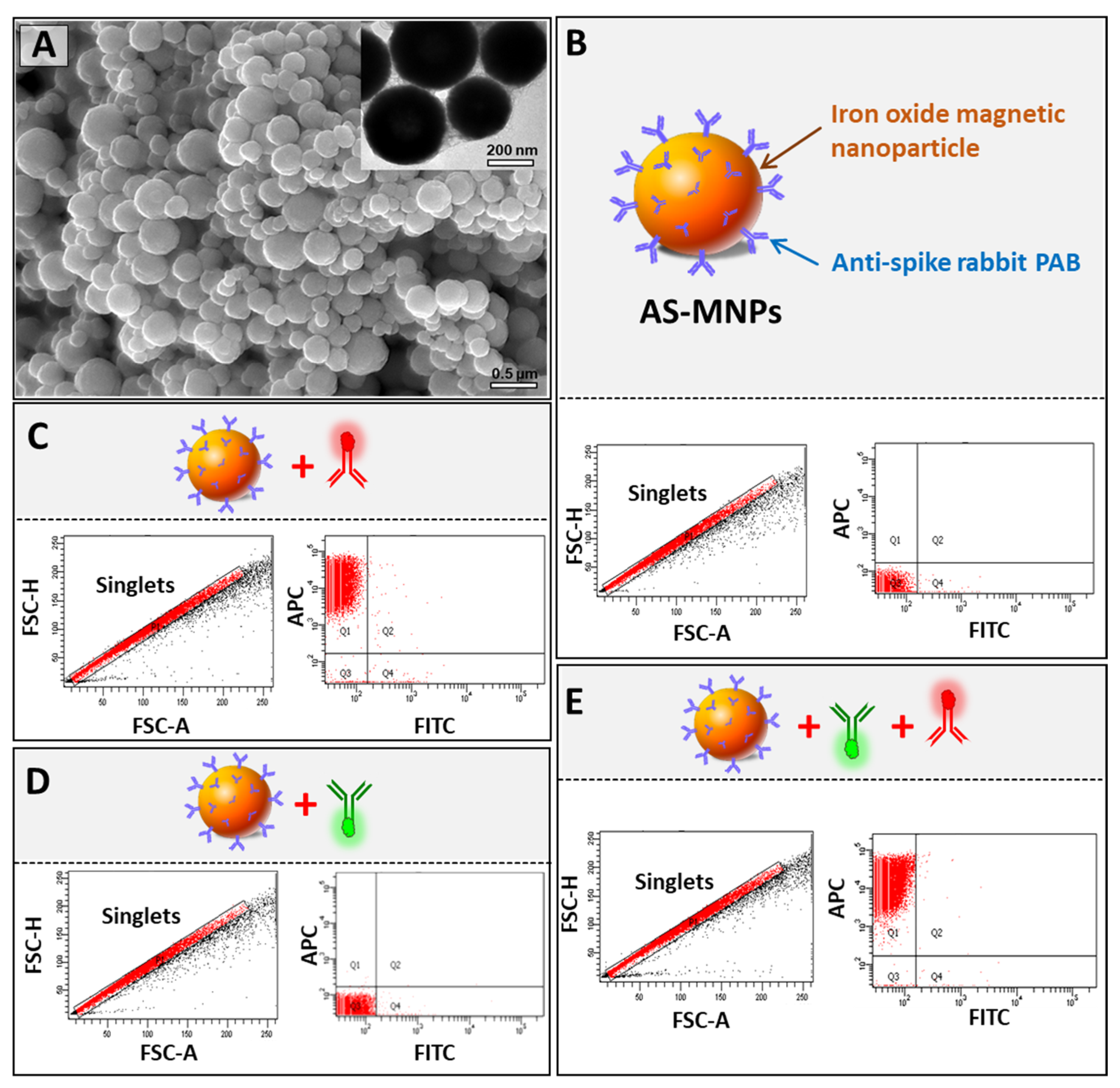 Biosensors 13 00553 g003