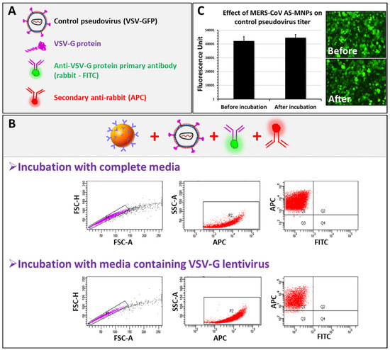 MICaFVi: A Novel Magnetic Immuno-Capture Flow Virometry Nano