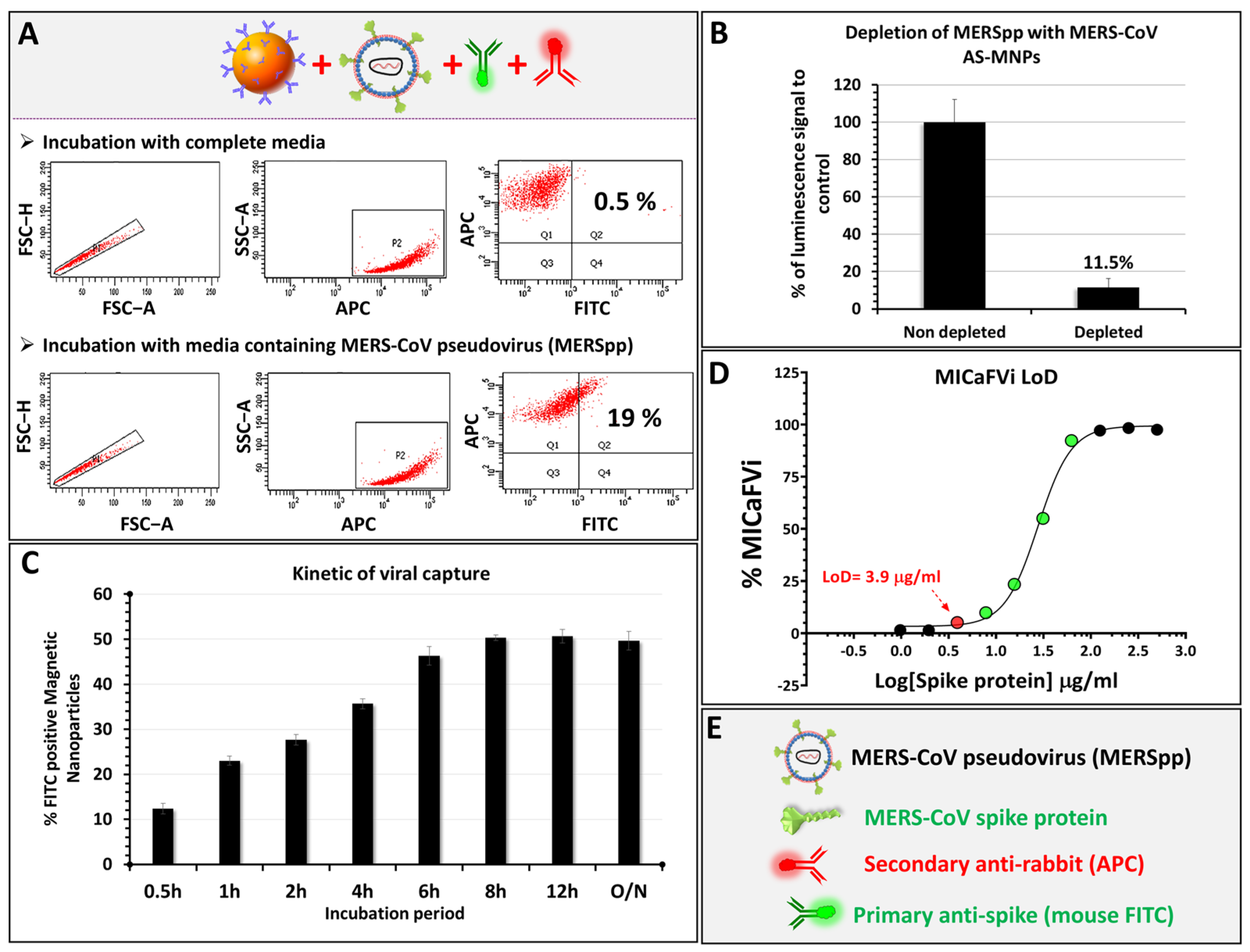 Biosensors 13 00553 g006