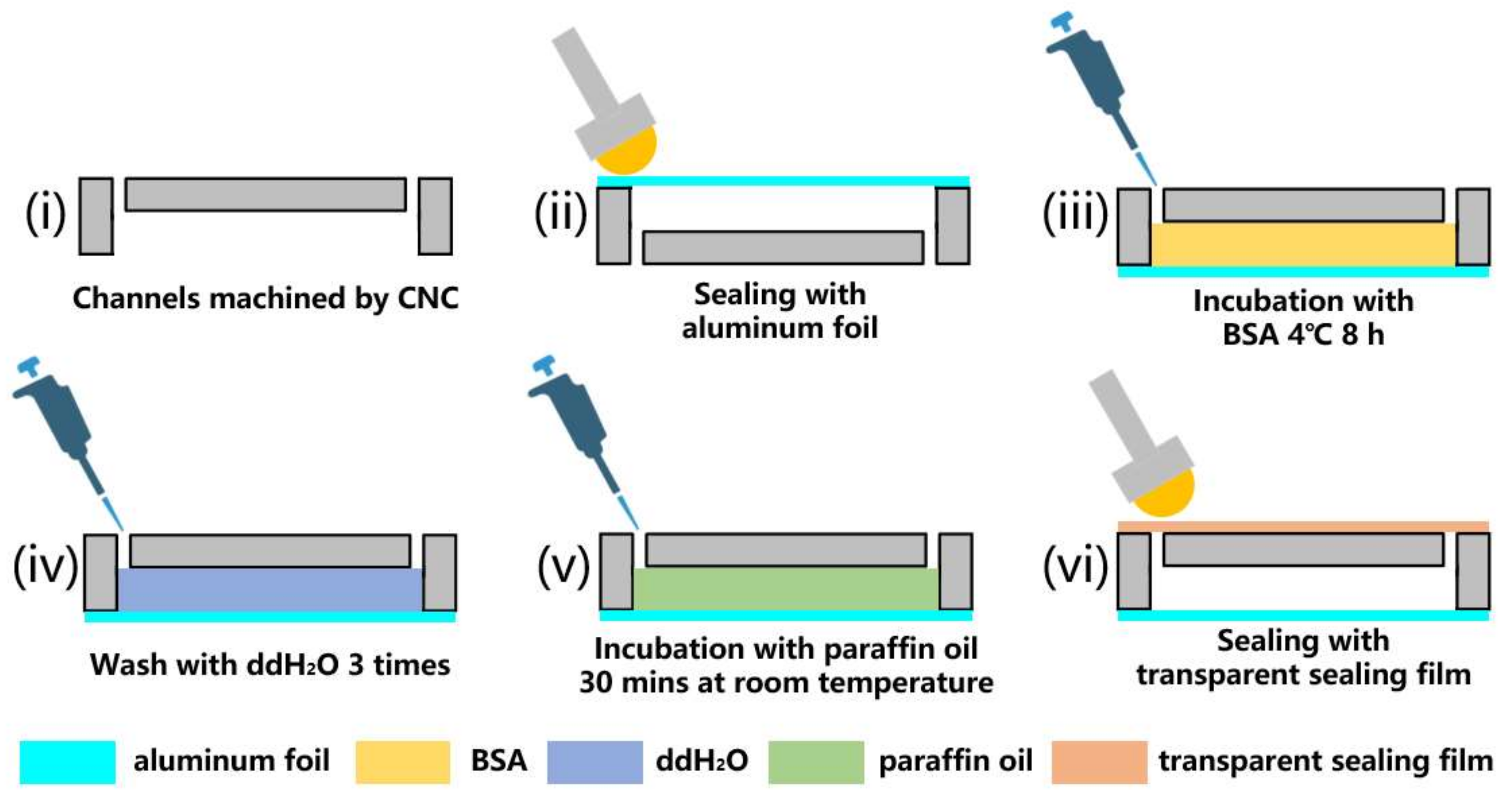 Biosensors 13 00555 g001 Biosensors 13 00555 g001