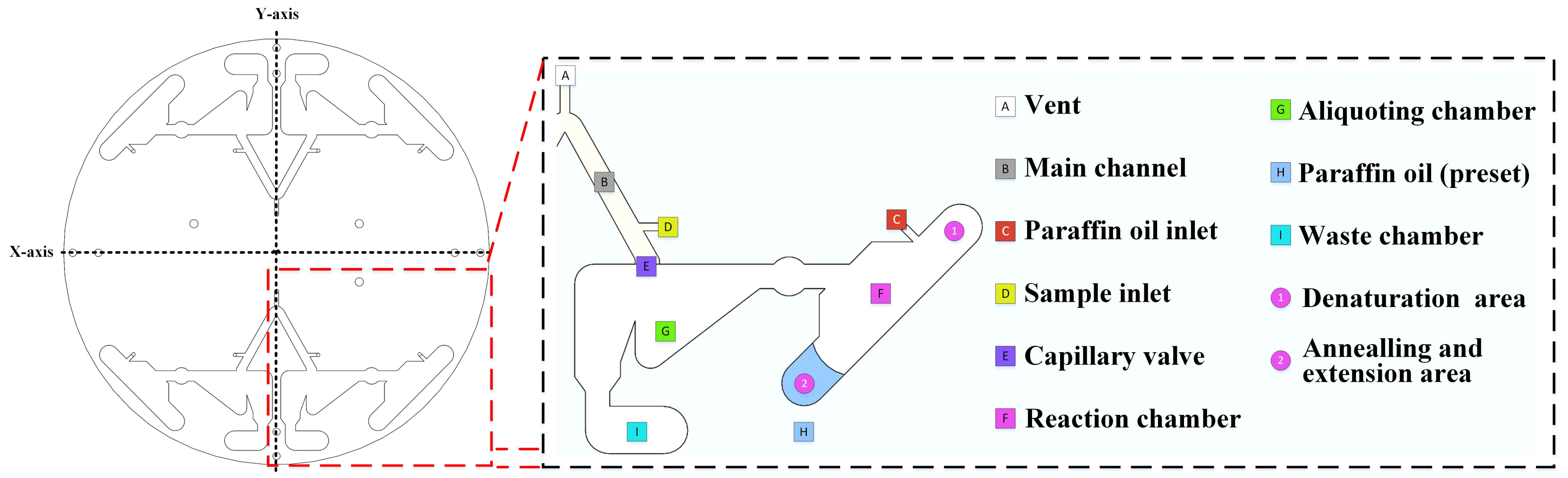 Biosensors 13 00555 g002 Biosensors 13 00555 g002