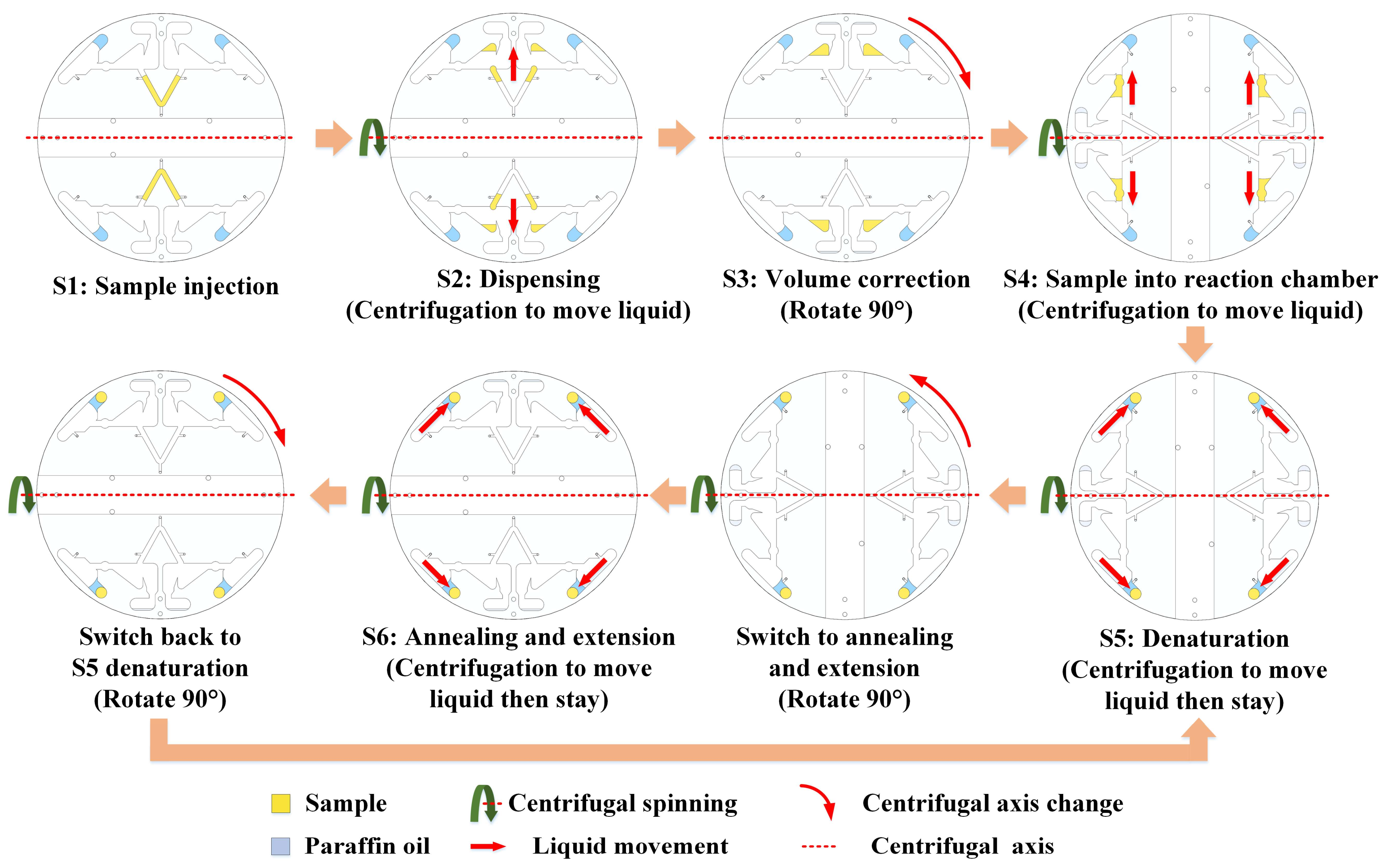 Biosensors 13 00555 g003 Biosensors 13 00555 g003