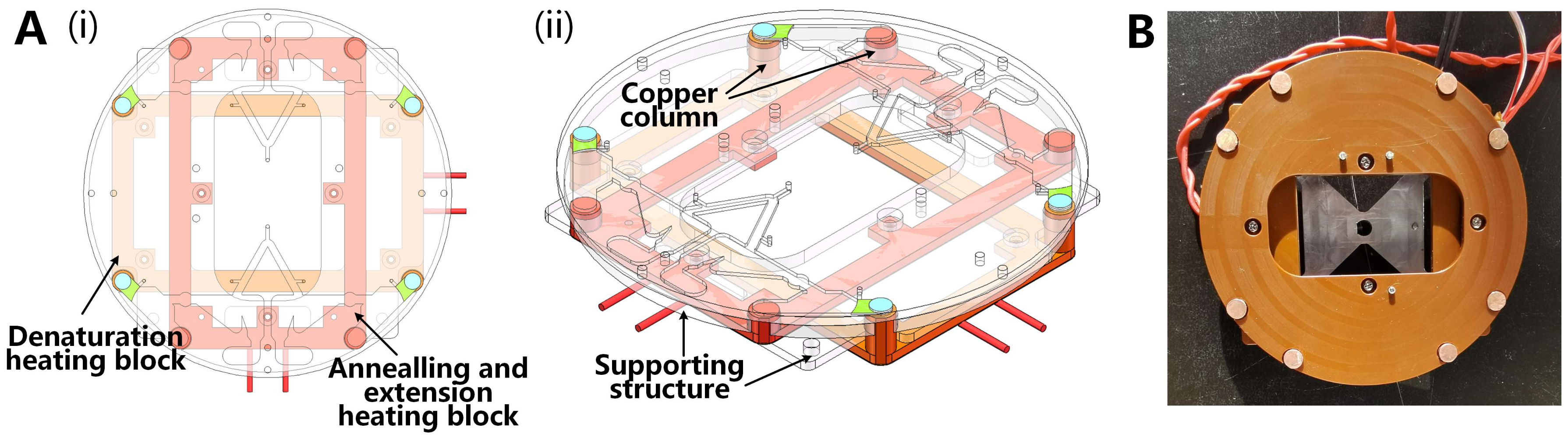 Biosensors 13 00555 g006 Biosensors 13 00555 g006