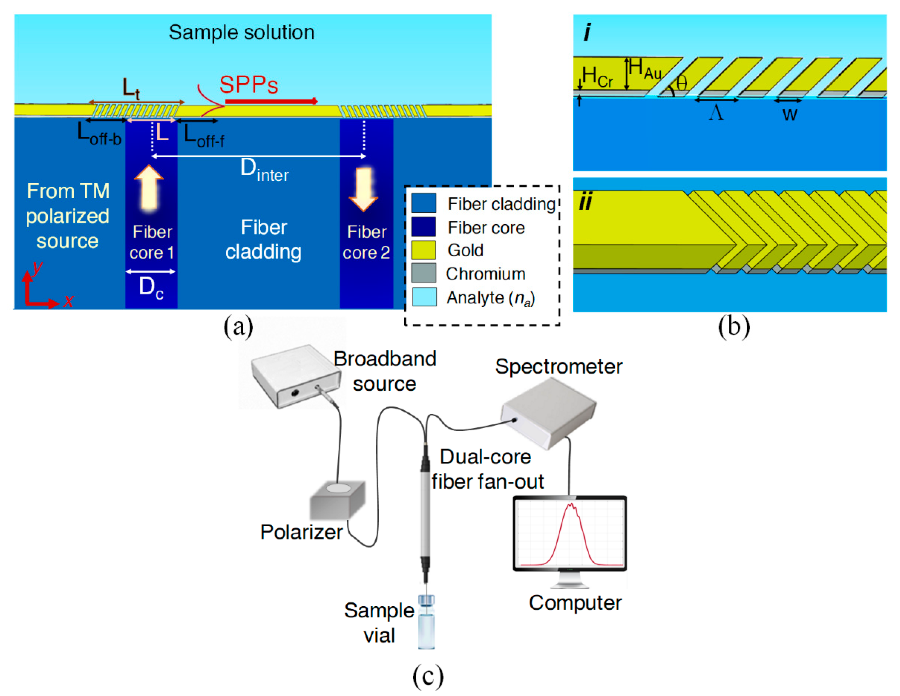 Biosensors 13 00558 g001