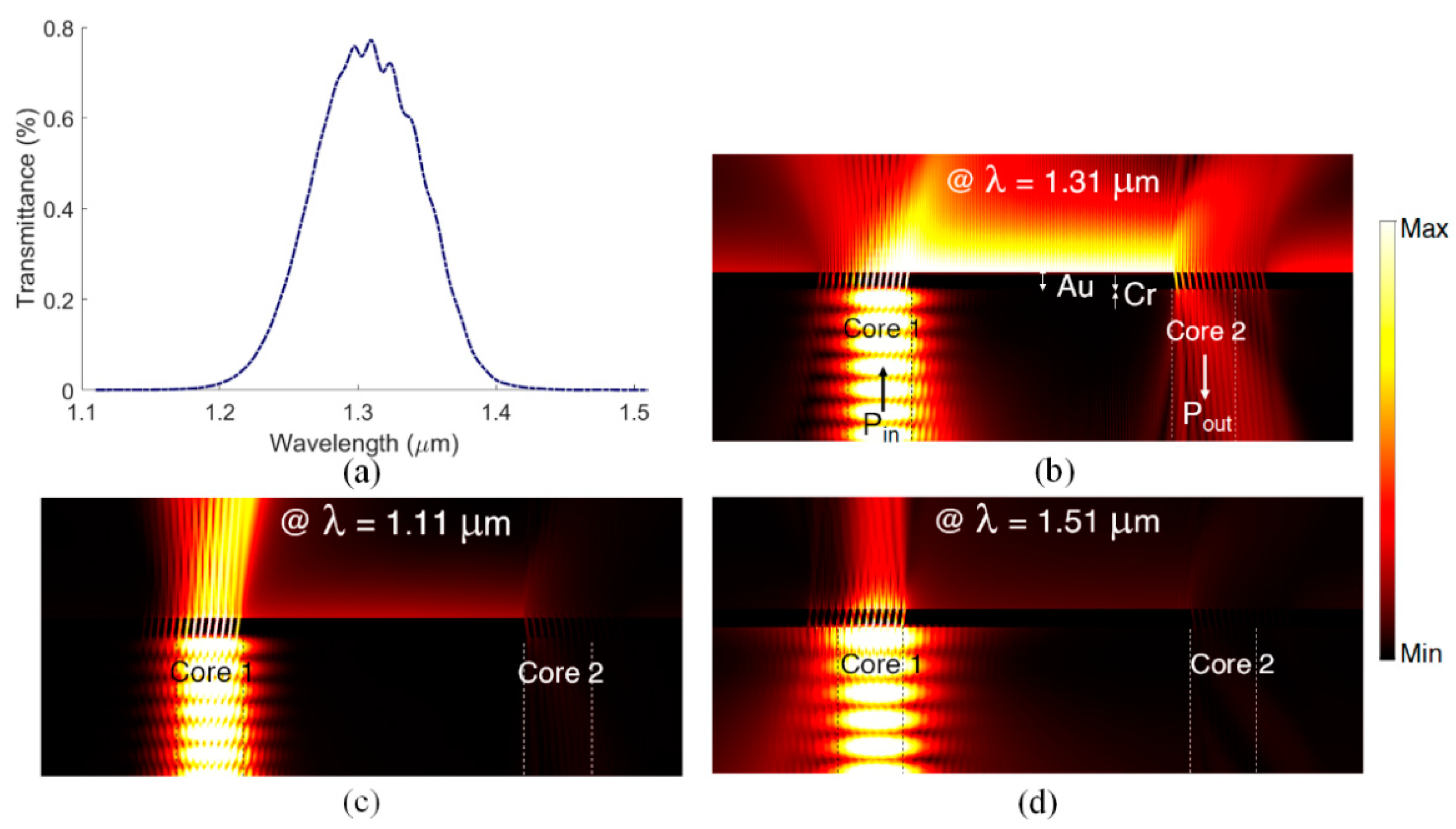 Biosensors 13 00558 g003