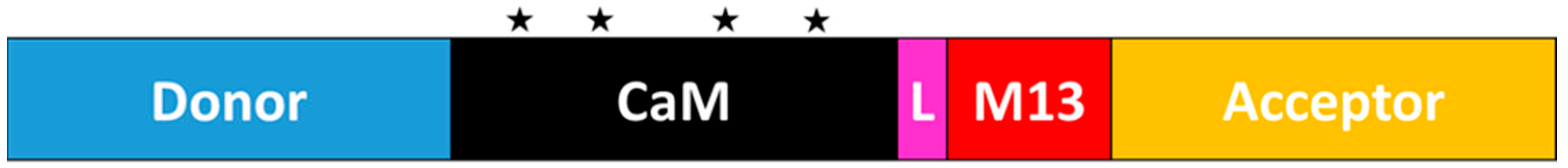 Biosensors 13 00561 g001 Biosensors 13 00561 g001