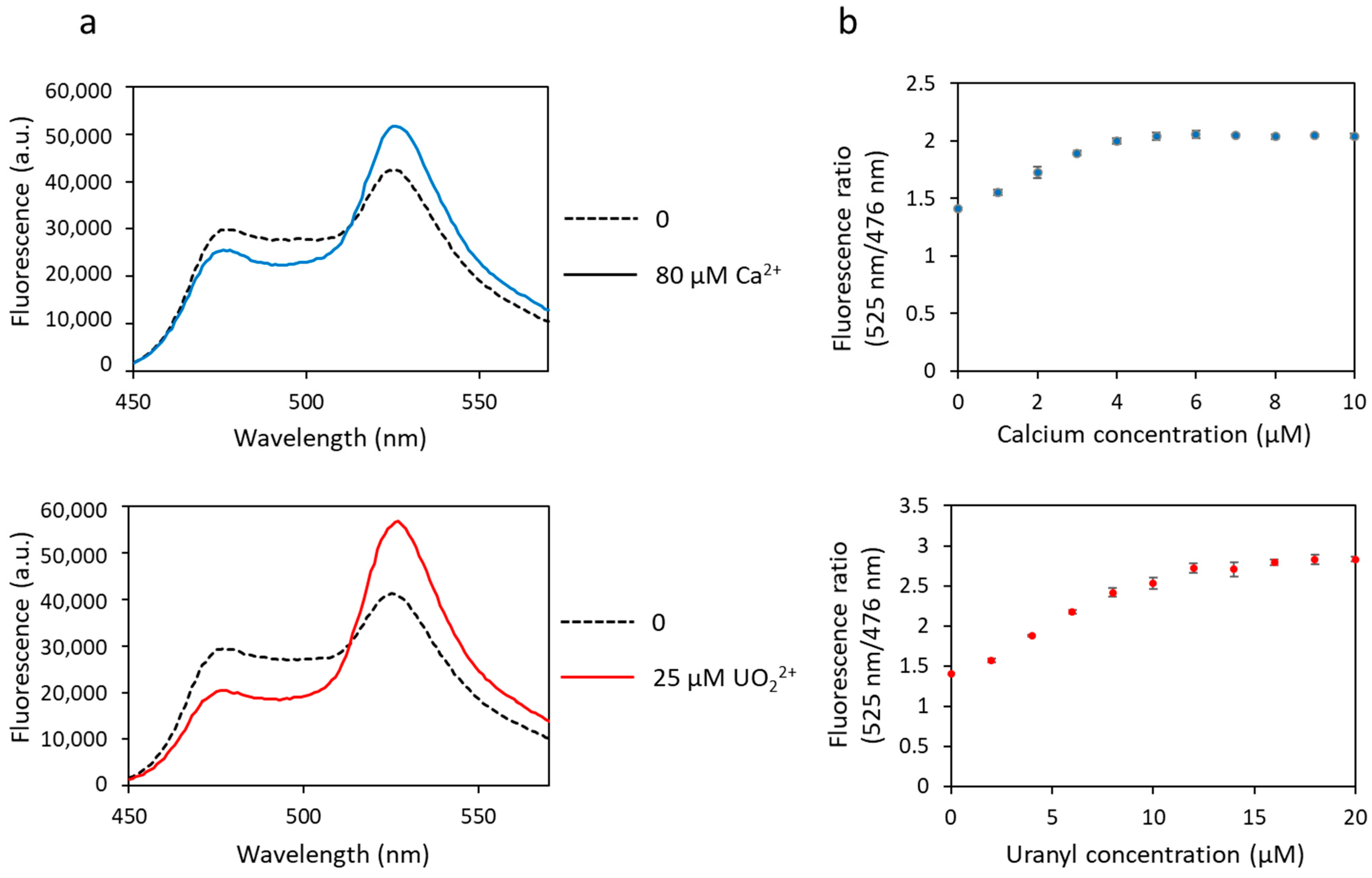 Biosensors 13 00561 g002 Biosensors 13 00561 g002