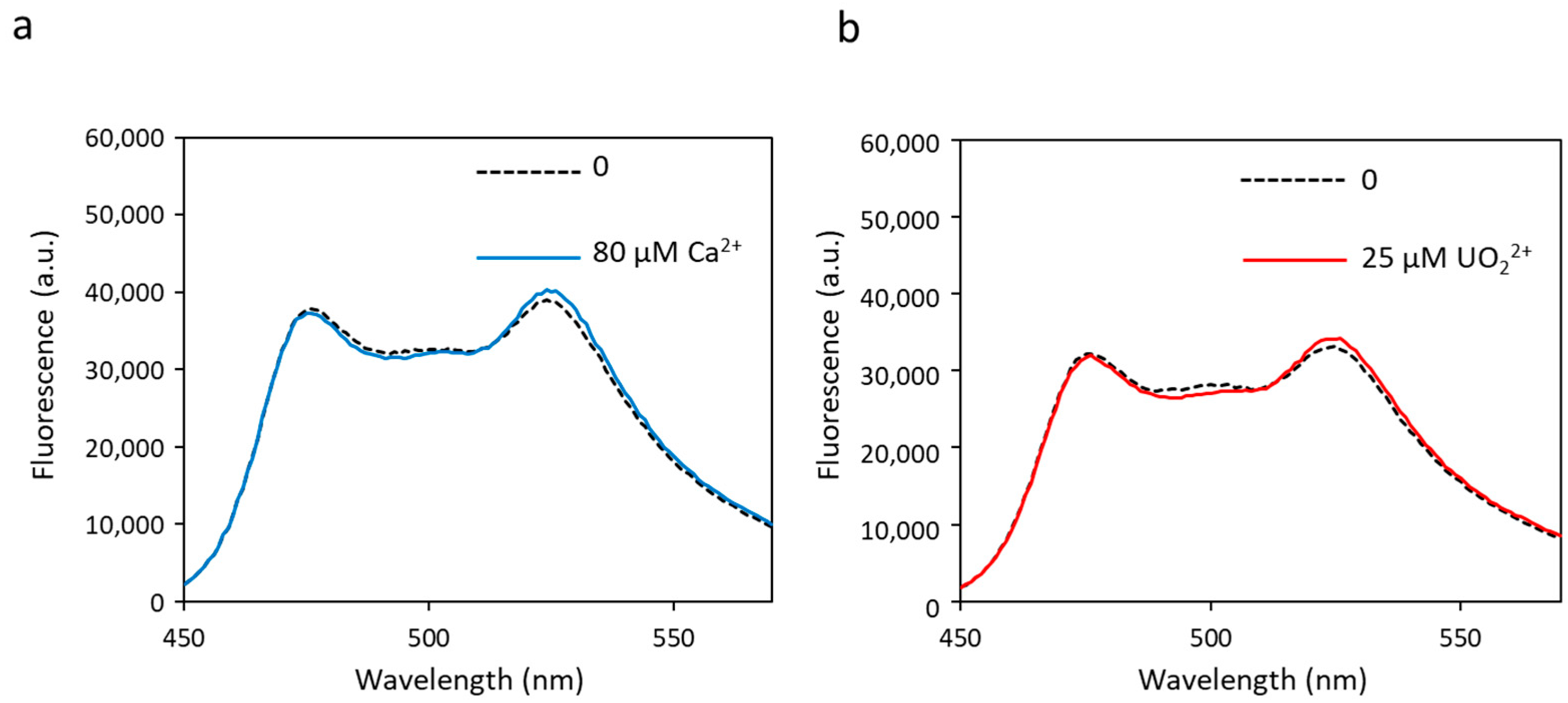 Biosensors 13 00561 g003 Biosensors 13 00561 g003