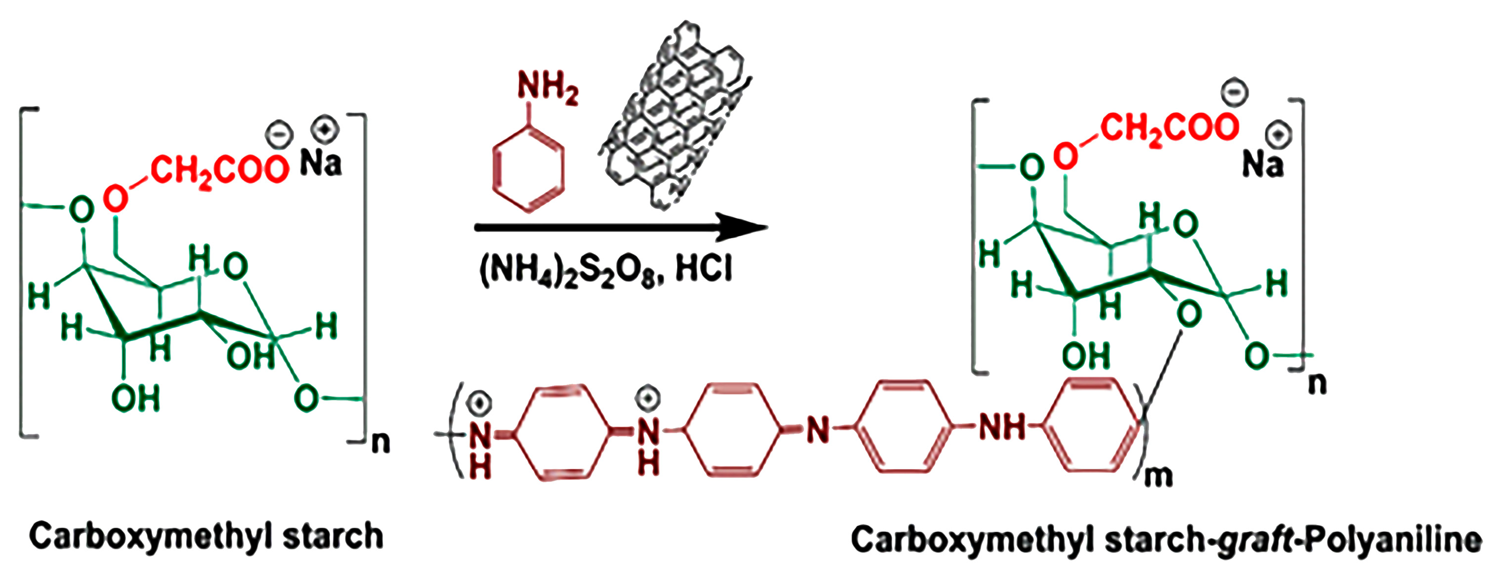 Biosensors 13 00562 g001