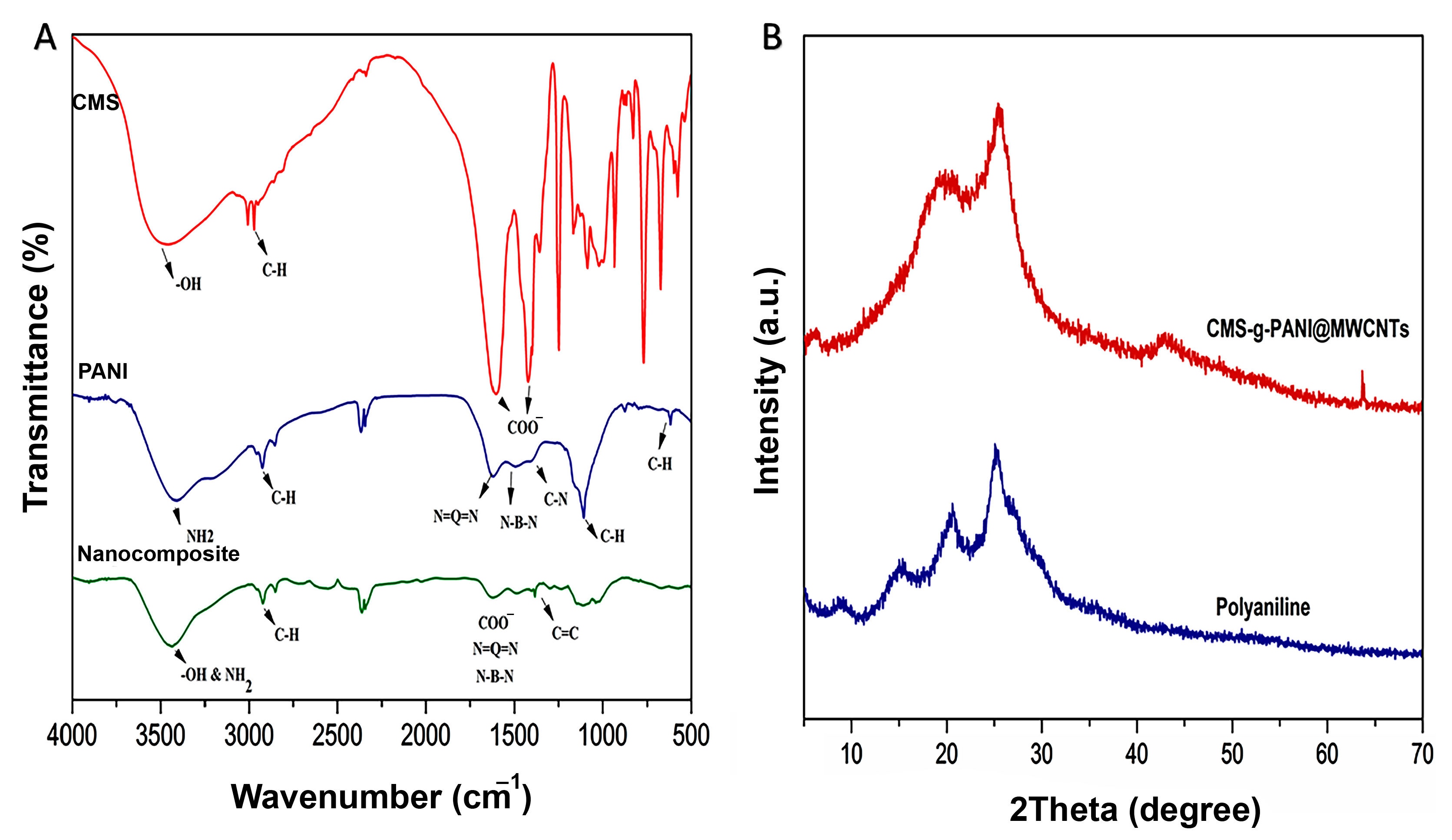 Biosensors 13 00562 g003