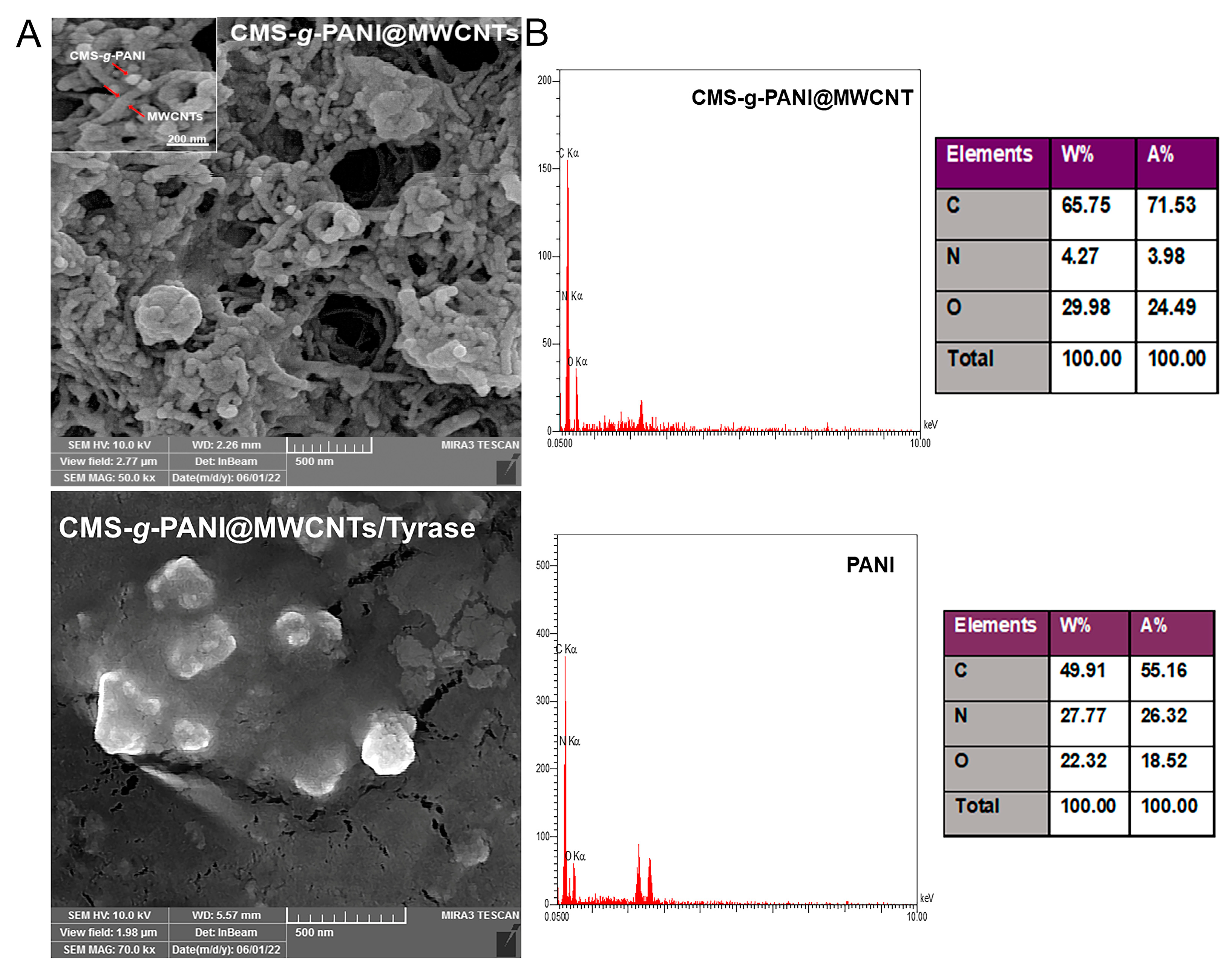 Biosensors 13 00562 g004