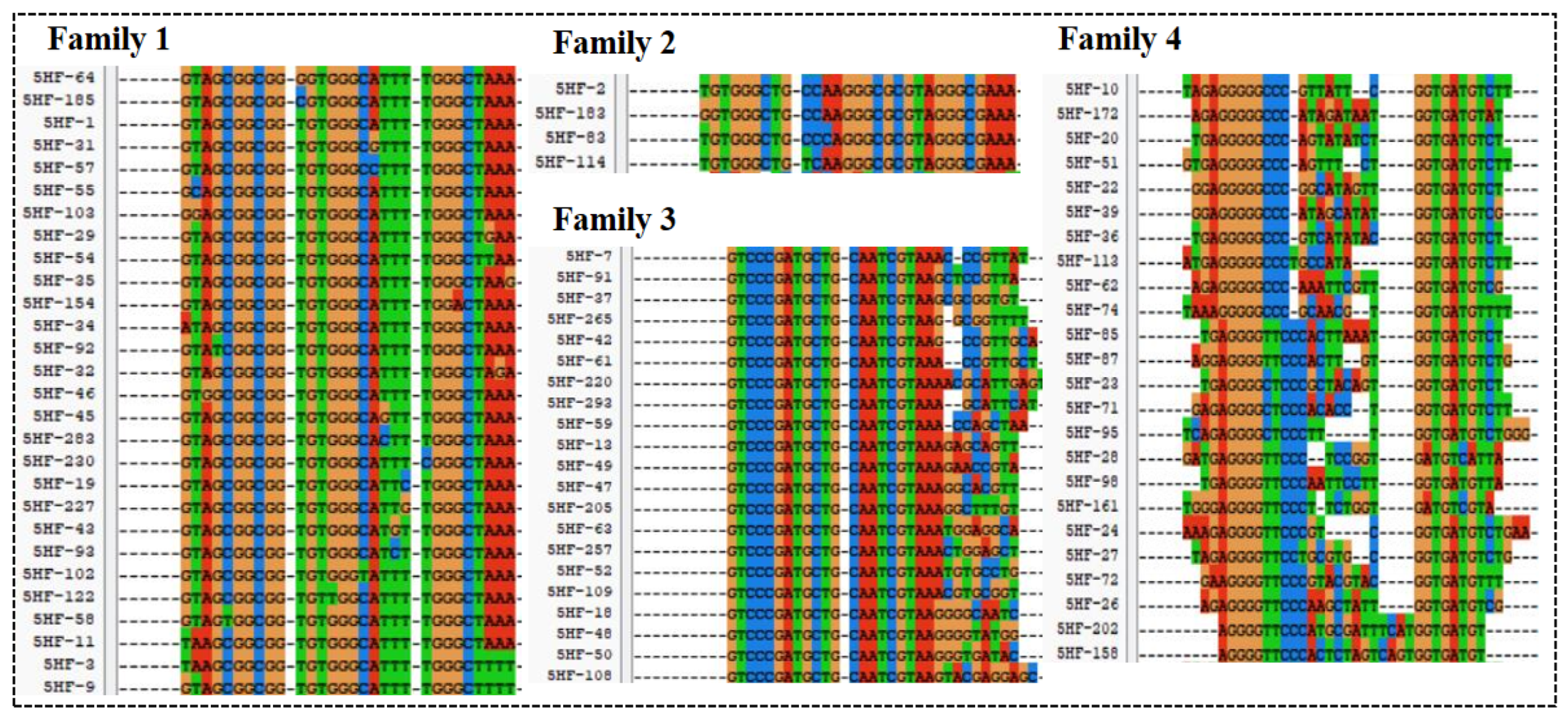 Biosensors 13 00564 g002 Biosensors 13 00564 g002