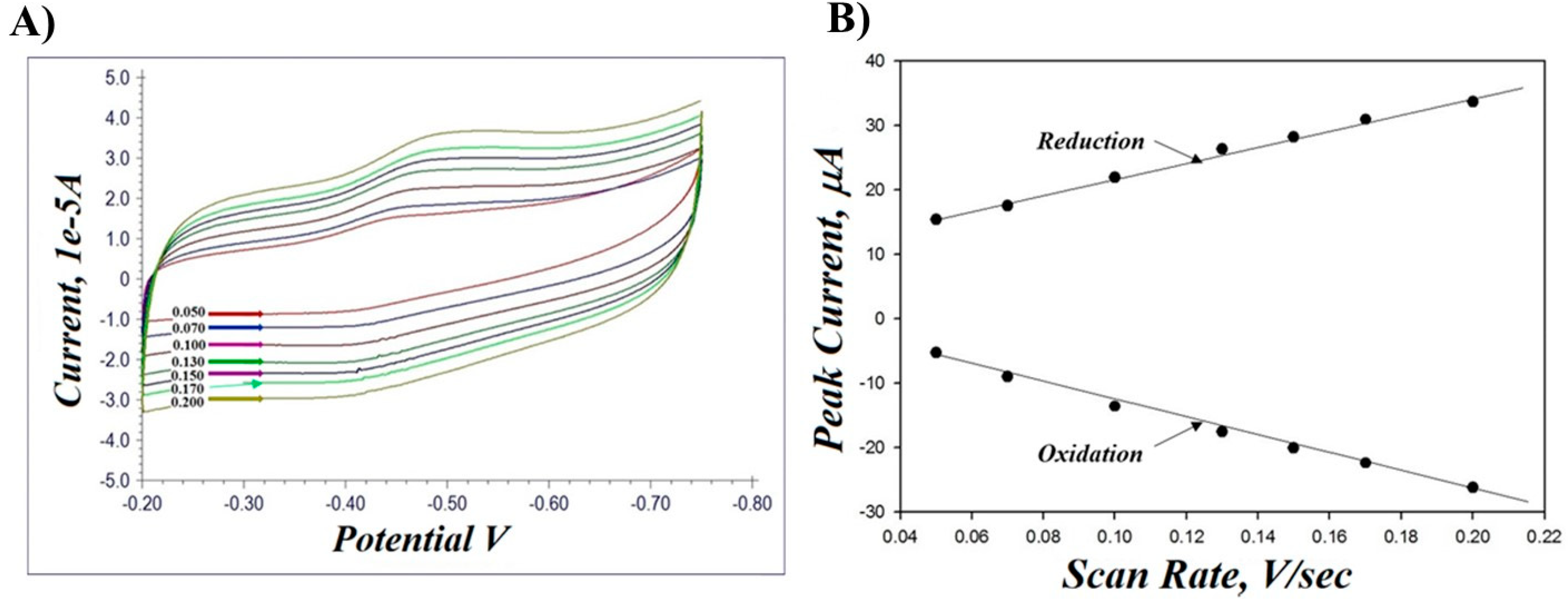 Biosensors 13 00566 g005 Biosensors 13 00566 g005
