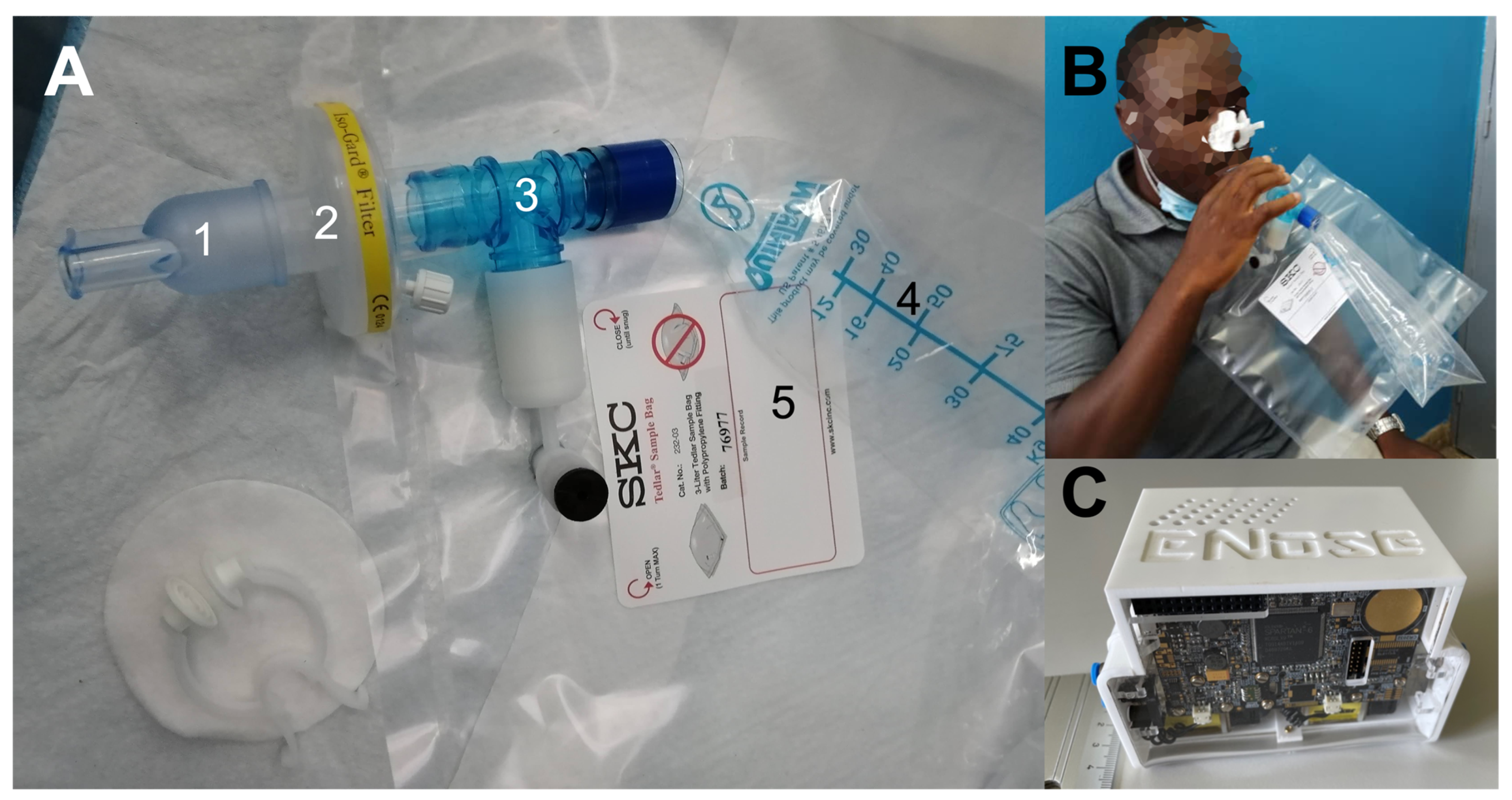 Biosensors 13 00570 g001 Biosensors 13 00570 g001