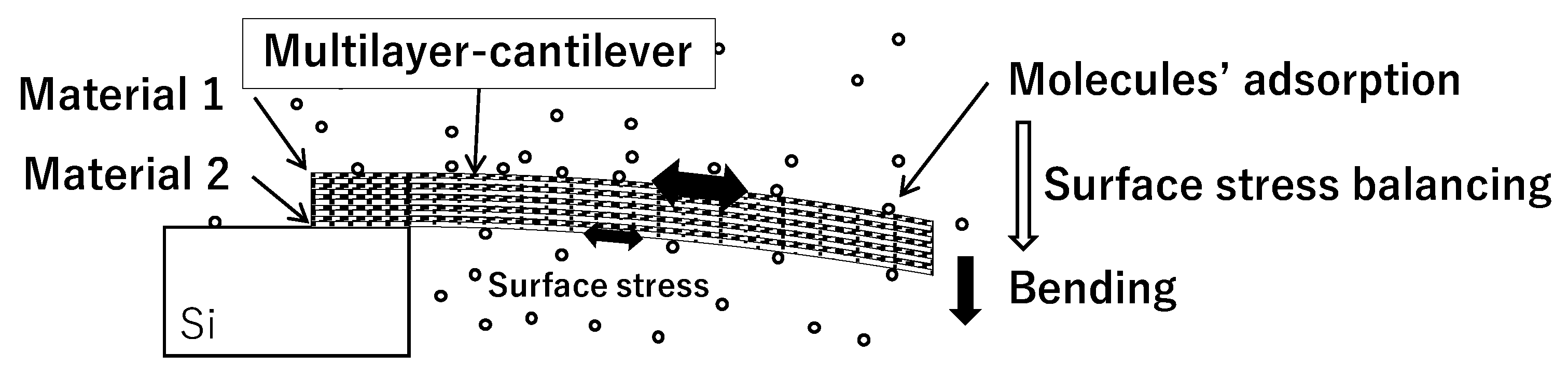 Biosensors 13 00573 g001