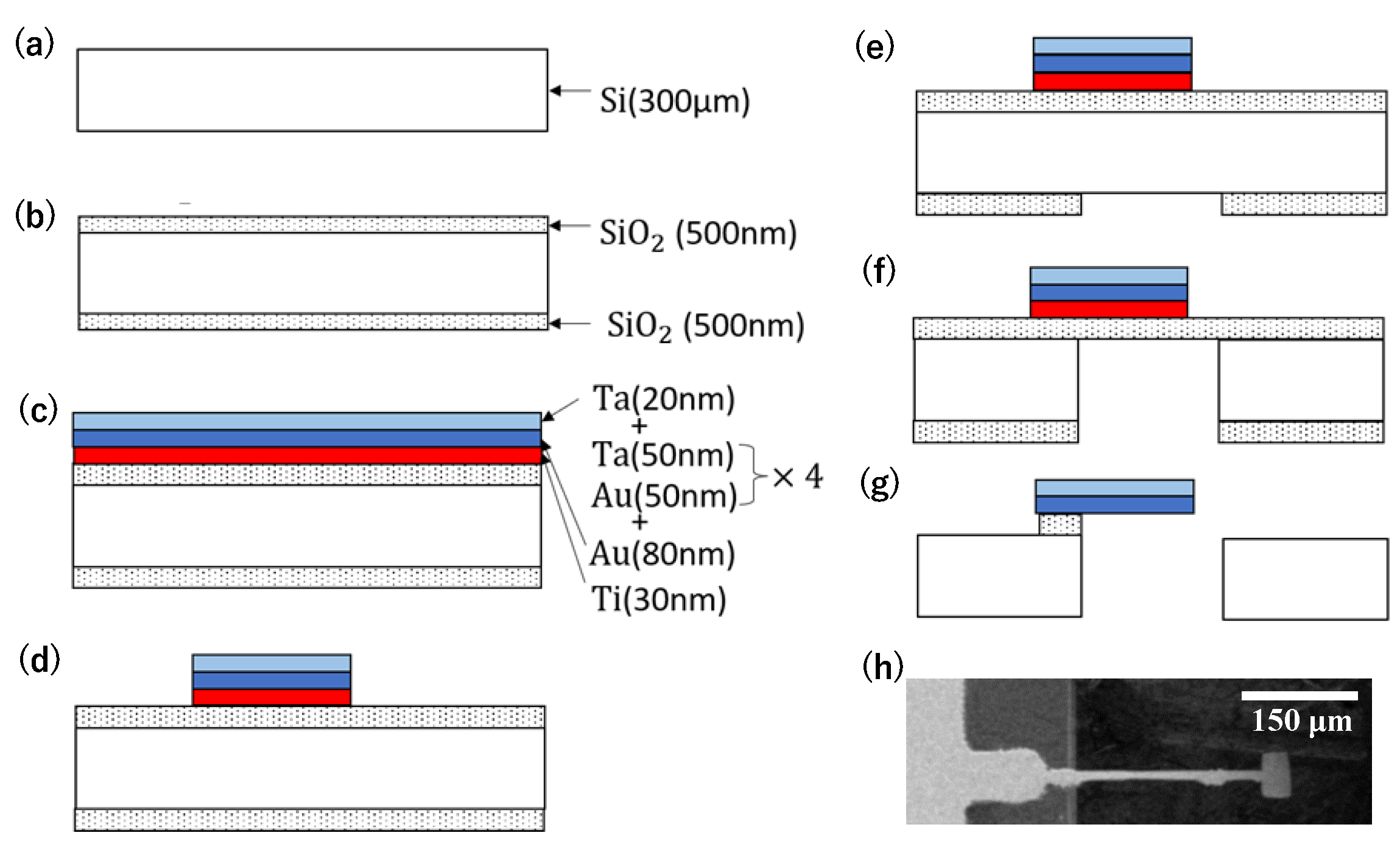 Biosensors 13 00573 g003