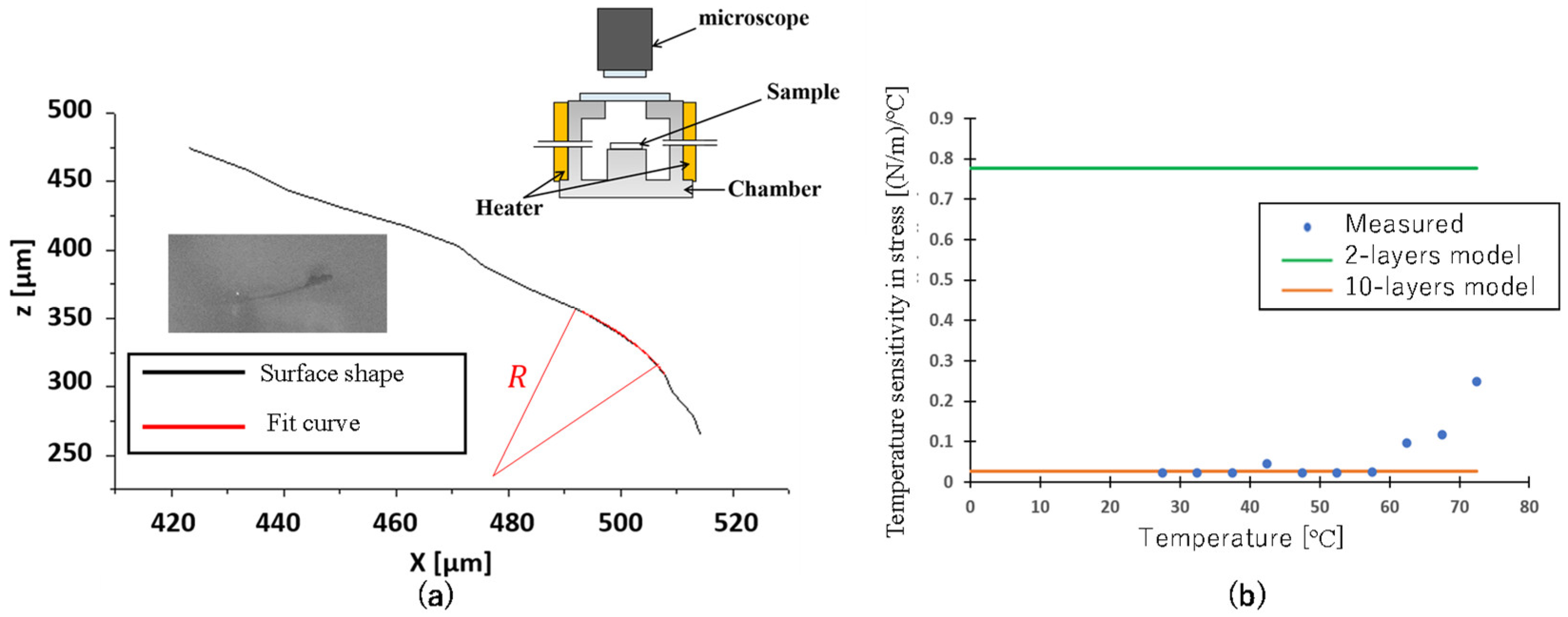 Biosensors 13 00573 g004