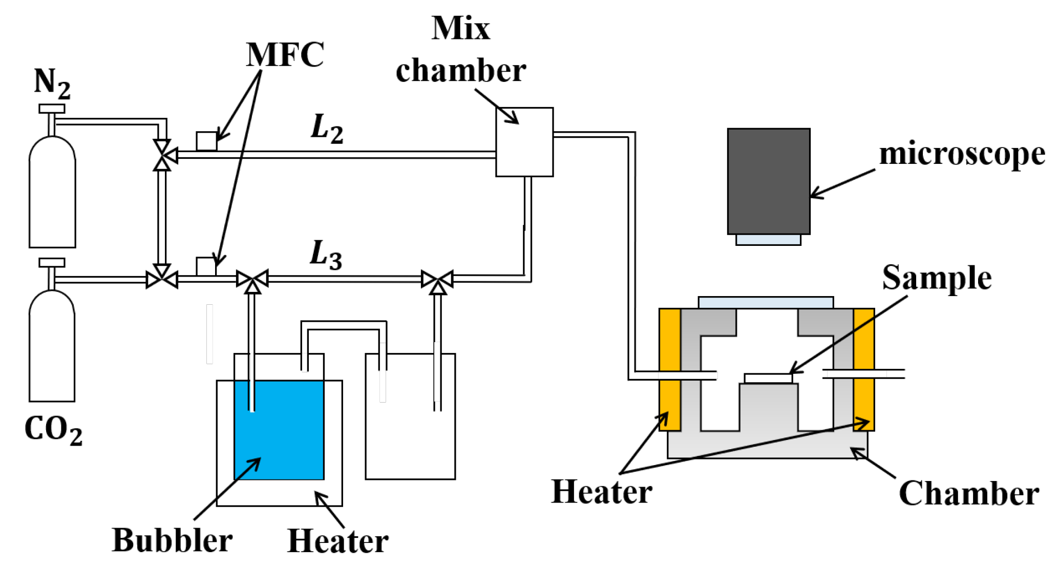 Biosensors 13 00573 g005