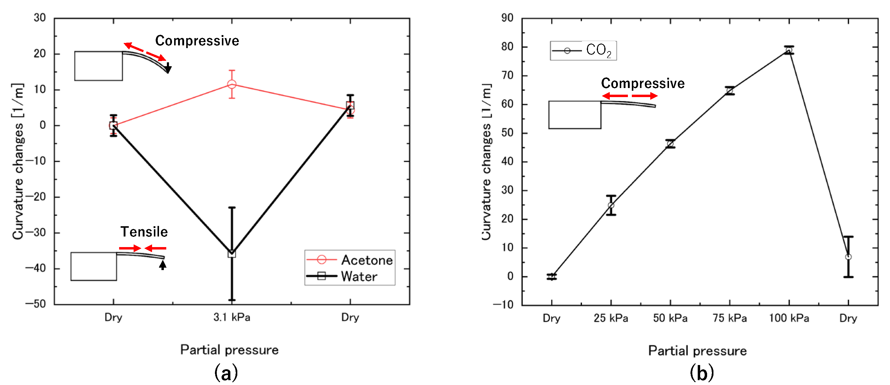 Biosensors 13 00573 g006