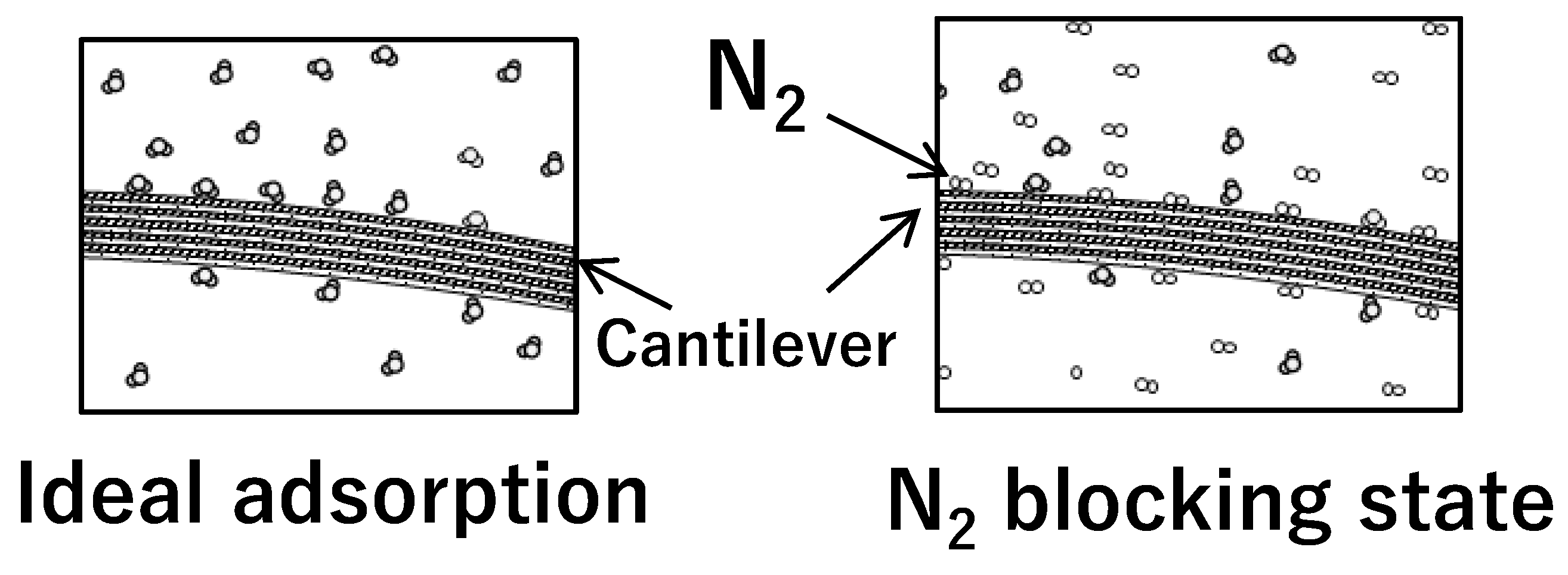 Biosensors 13 00573 g007