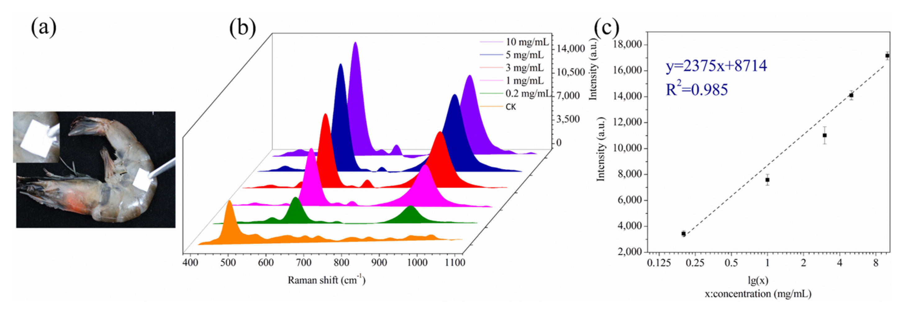Biosensors 13 00575 g007