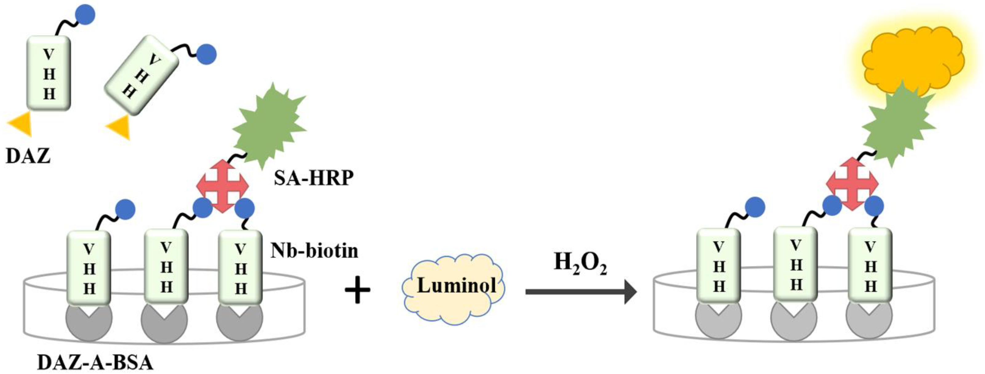 Biosensors 13 00577 sch001 Biosensors 13 00577 sch001