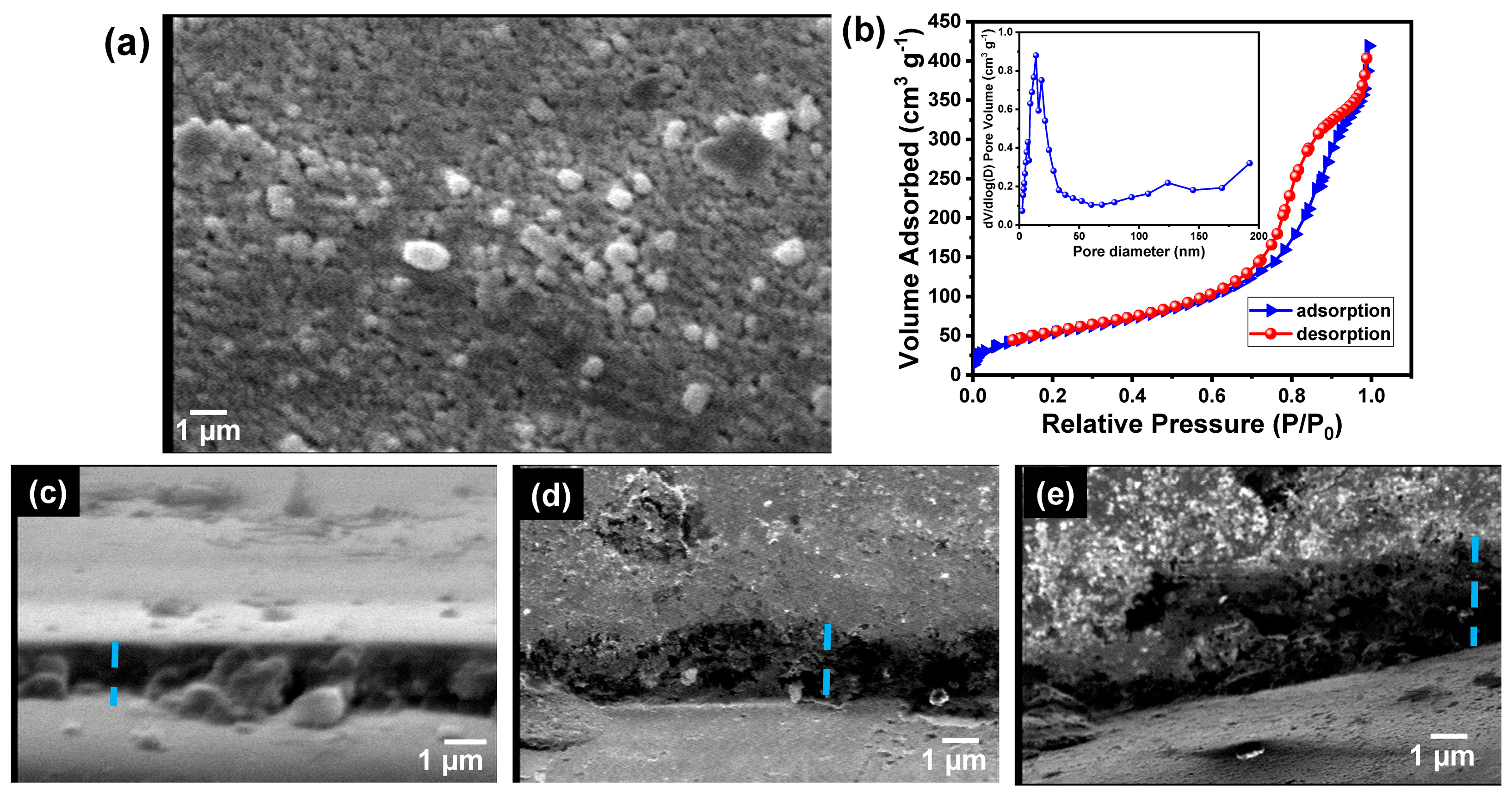 Biosensors 13 00578 g003
