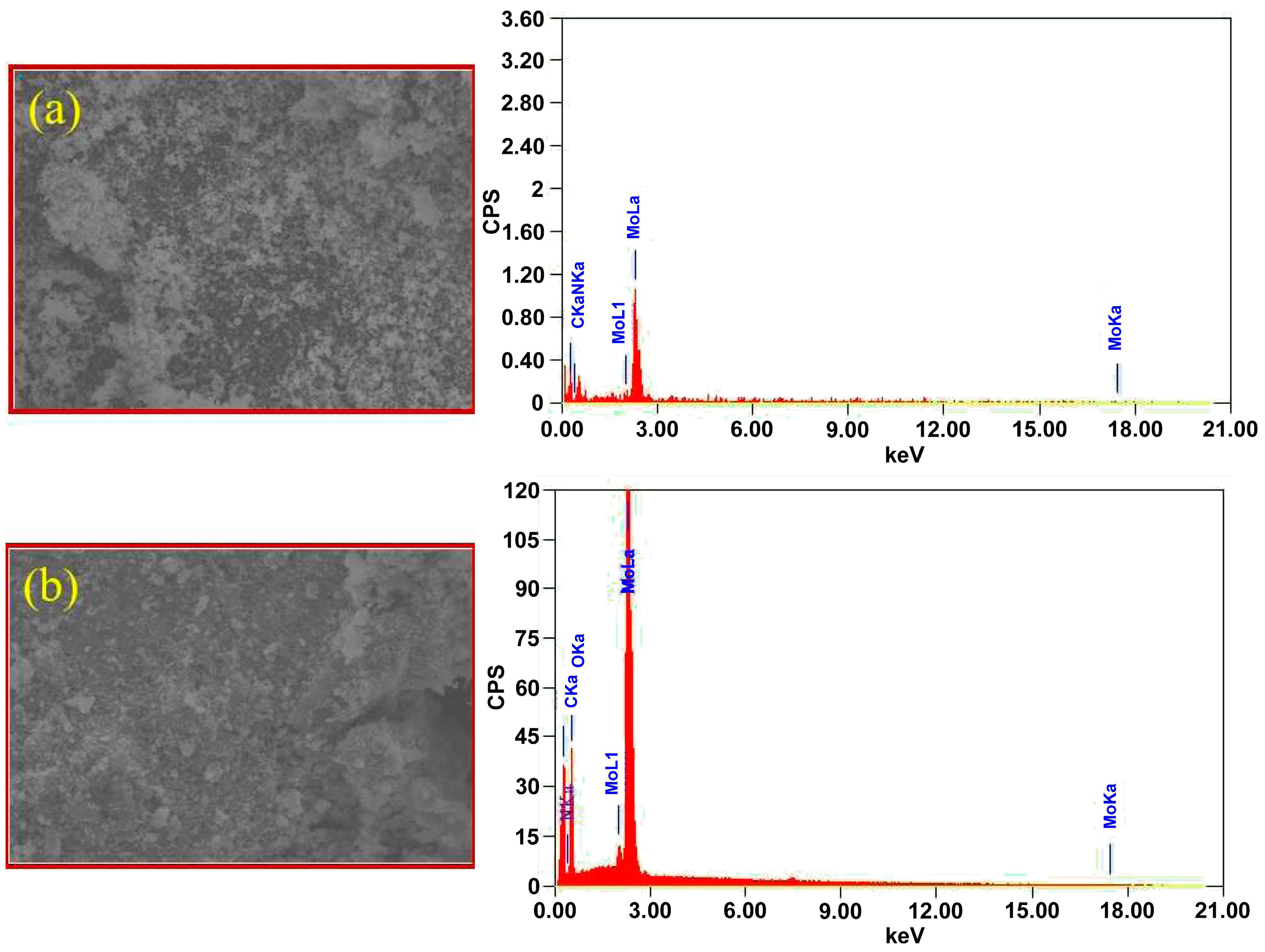 Biosensors 13 00578 g004