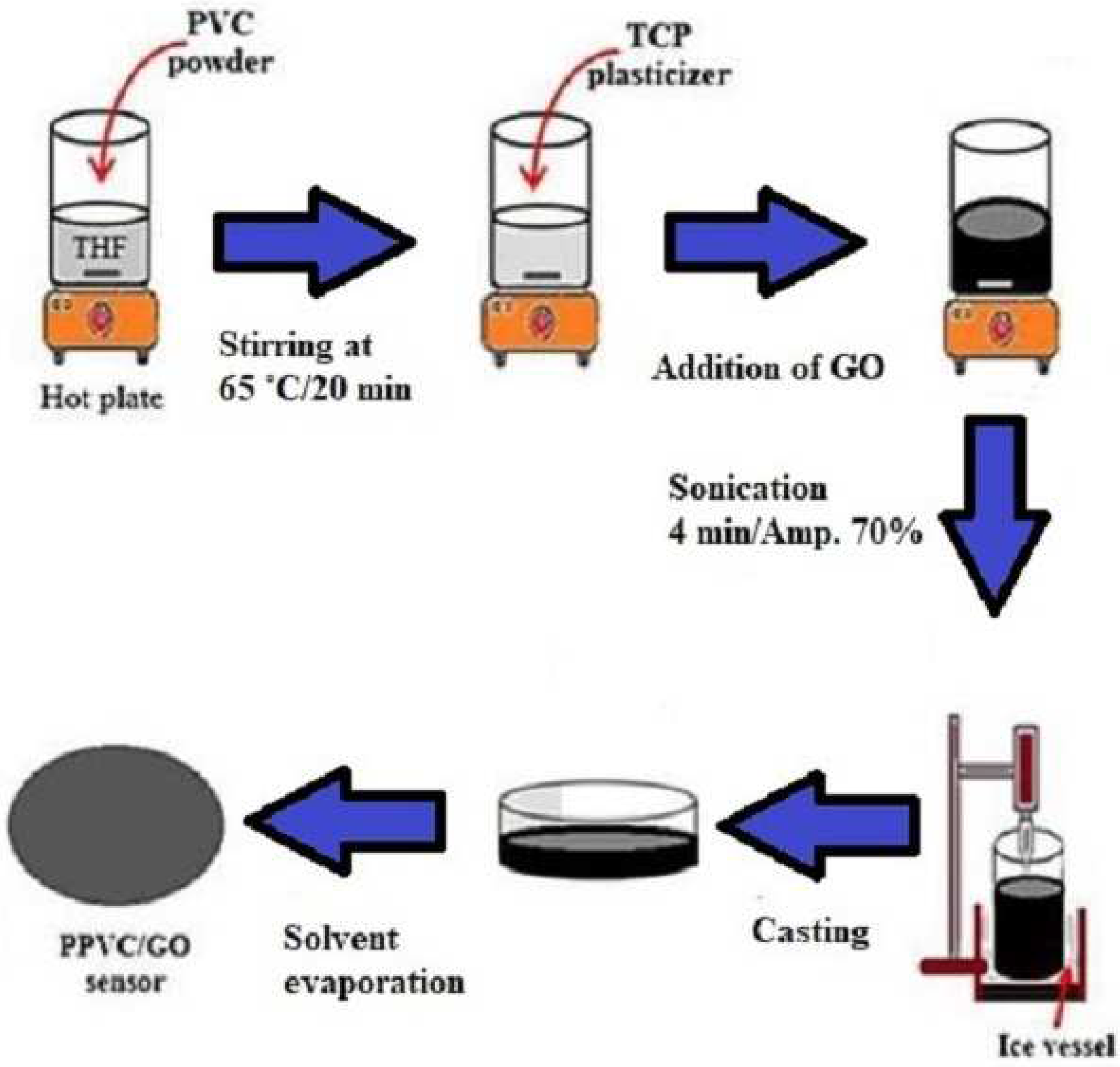Biosensors 13 00579 g001