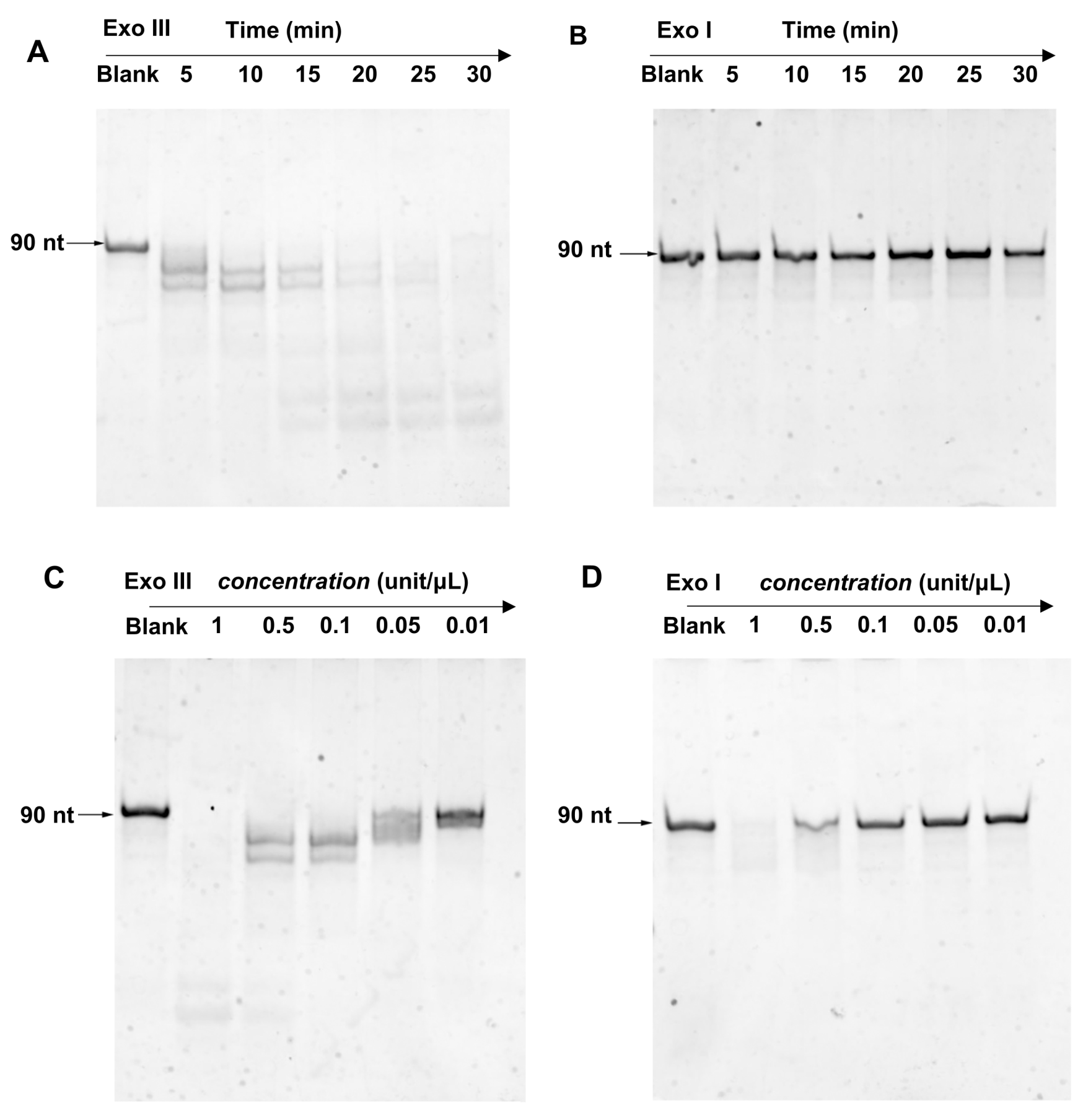 Biosensors 13 00581 g002 Biosensors 13 00581 g002