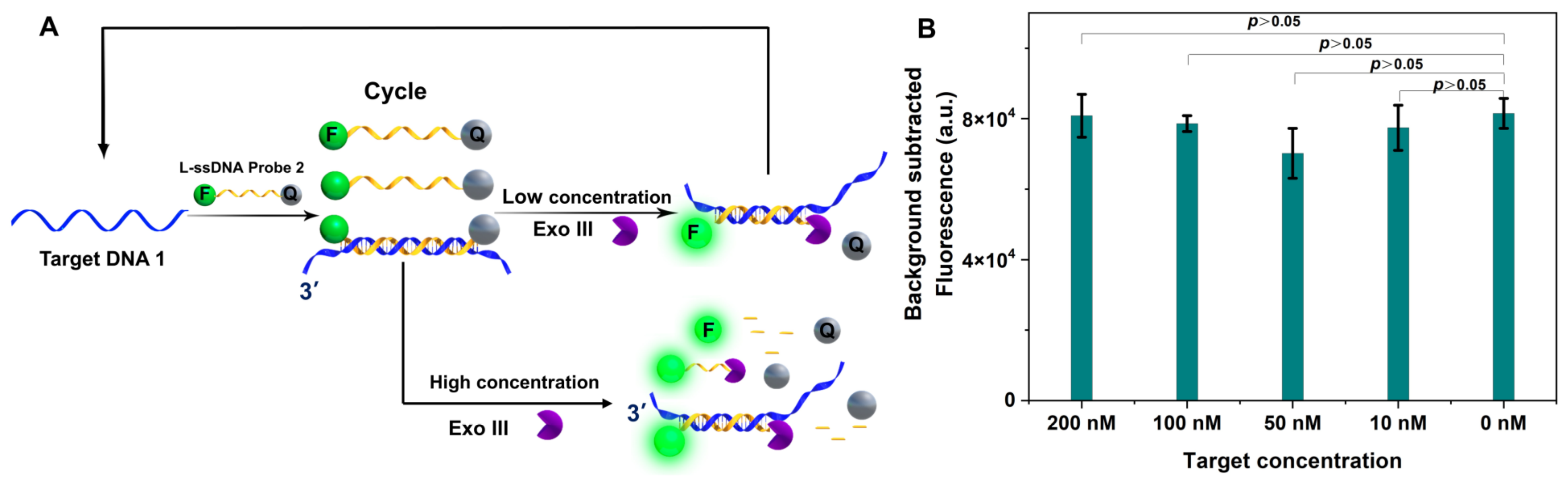 Biosensors 13 00581 g003 Biosensors 13 00581 g003