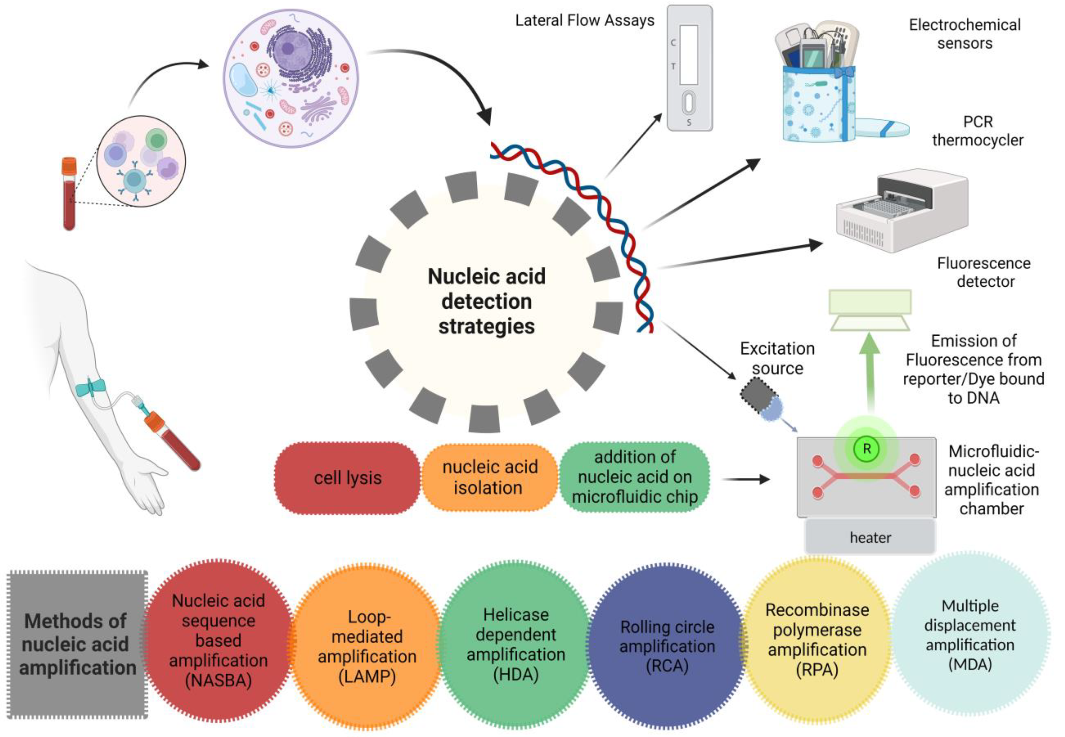 Biosensors 13 00584 g002 Biosensors 13 00584 g002