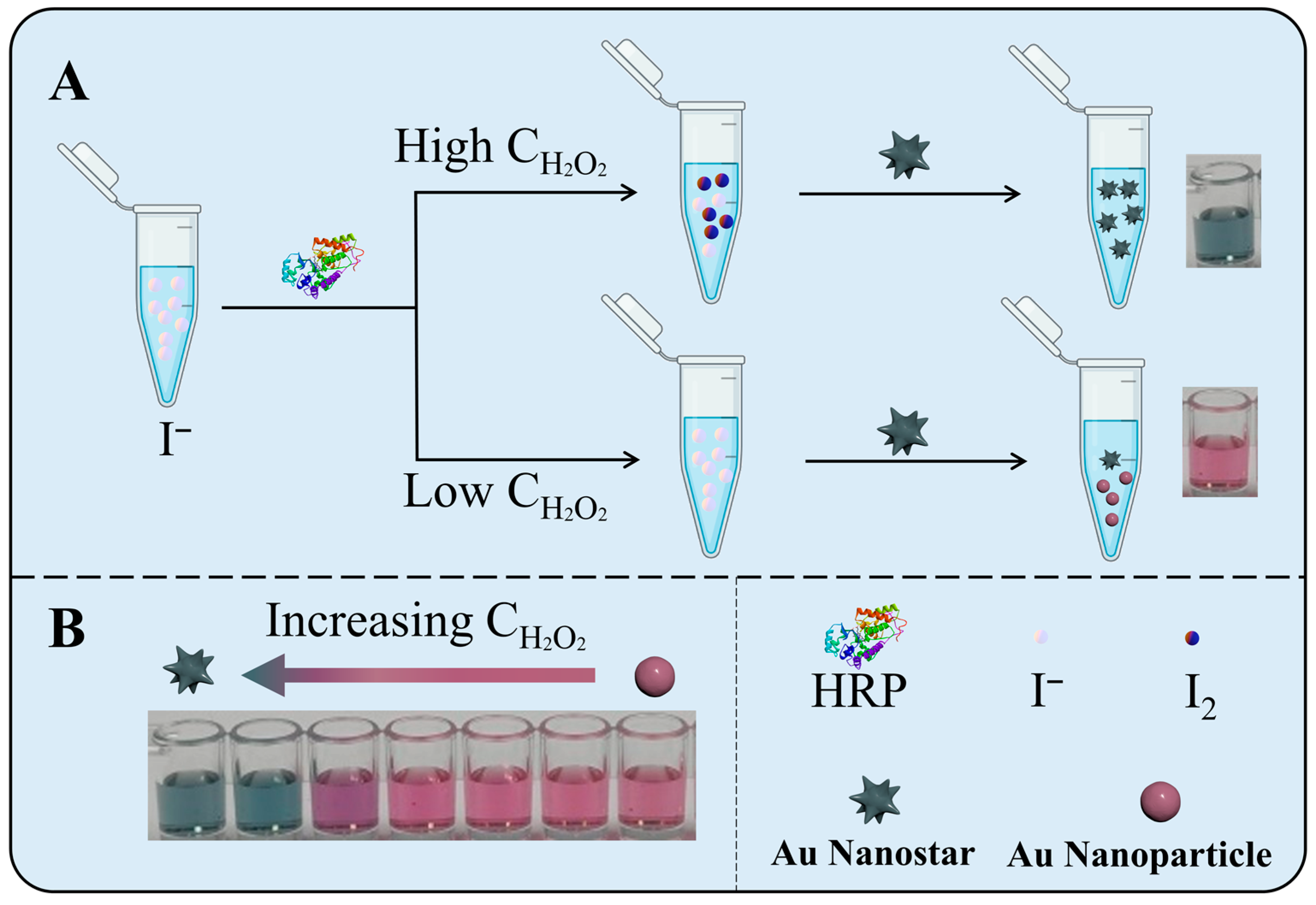 Biosensors 13 00585 sch001 Biosensors 13 00585 sch001