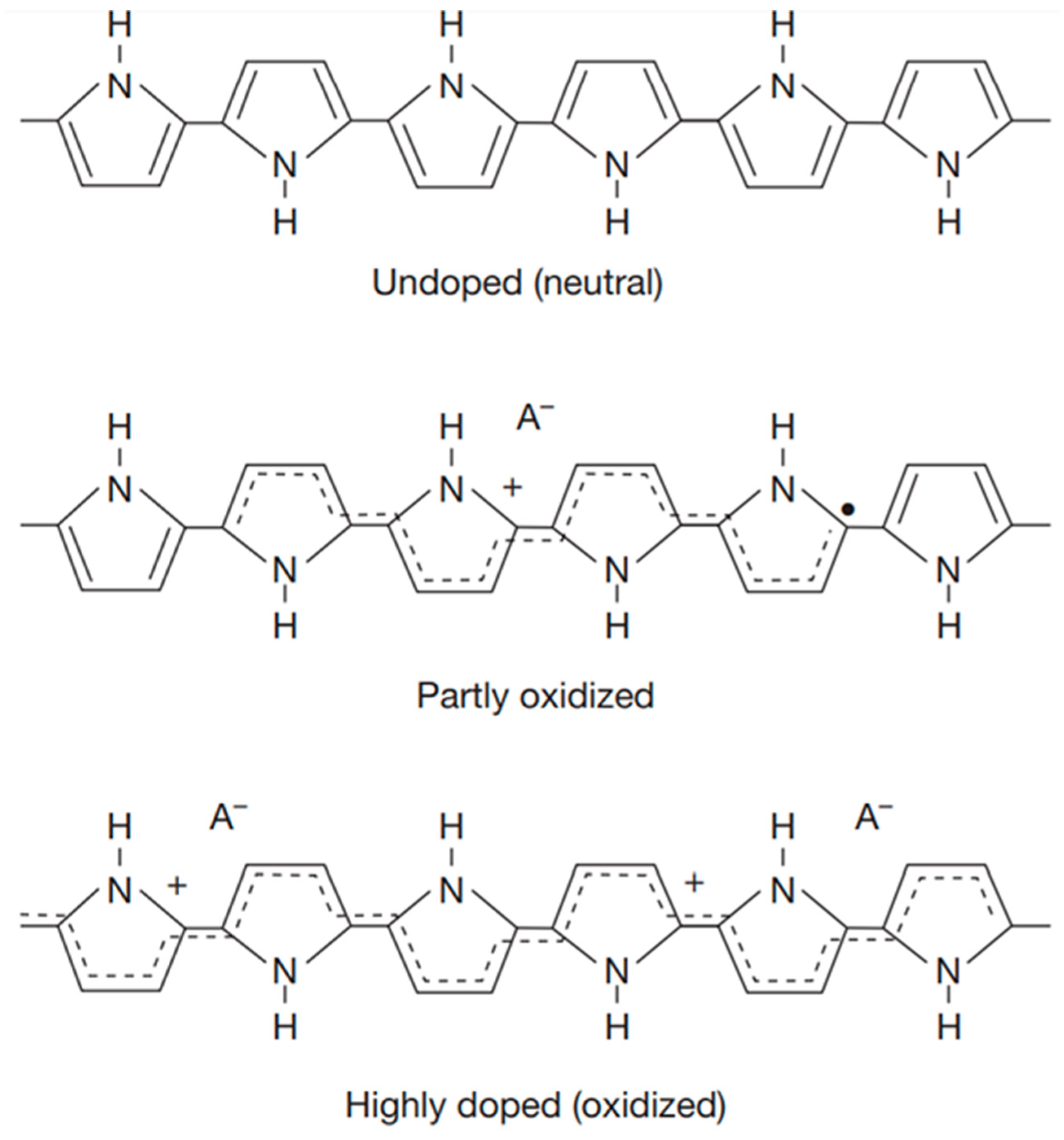 Biosensors 13 00586 g001