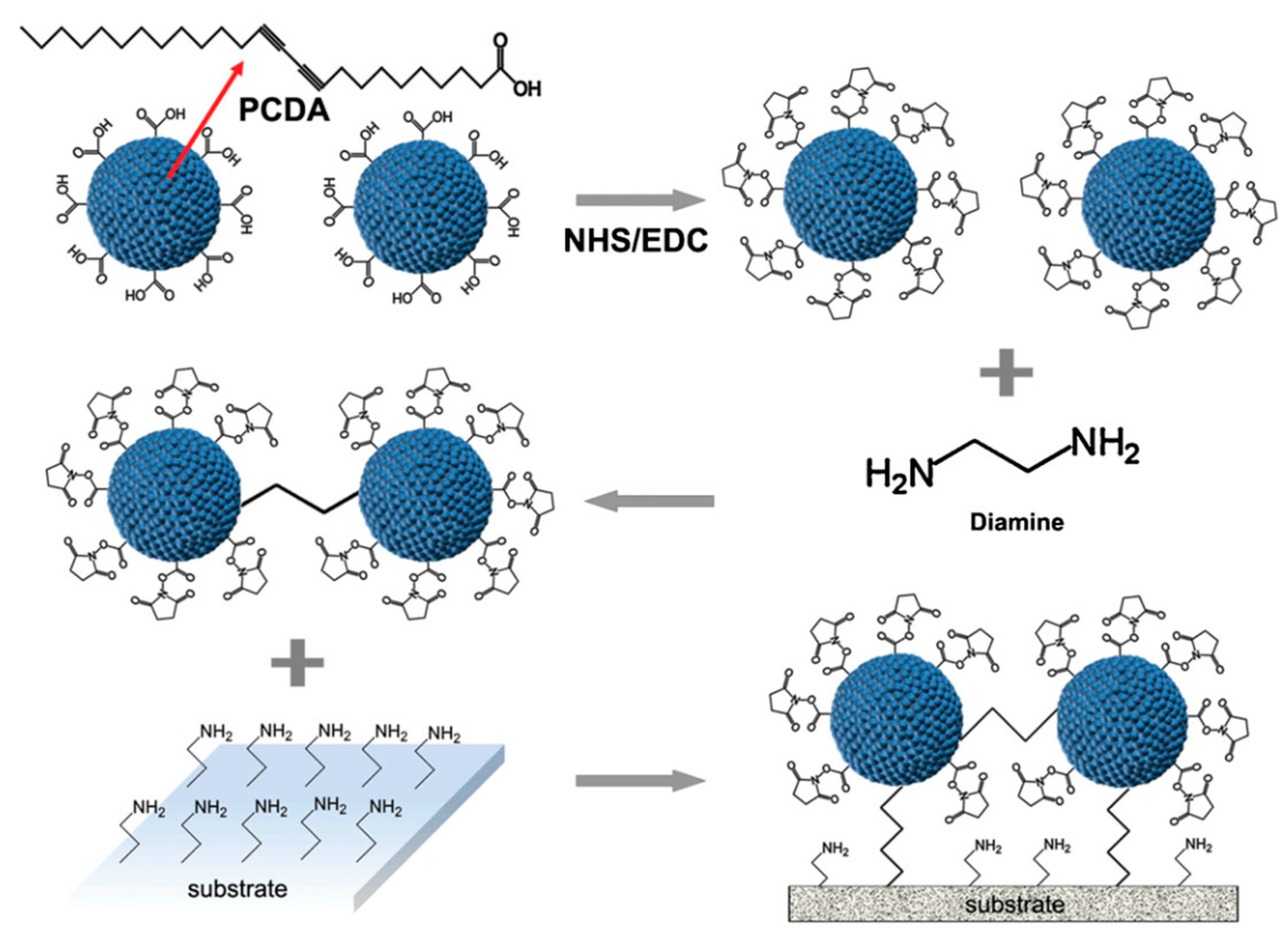 Biosensors 13 00586 g004