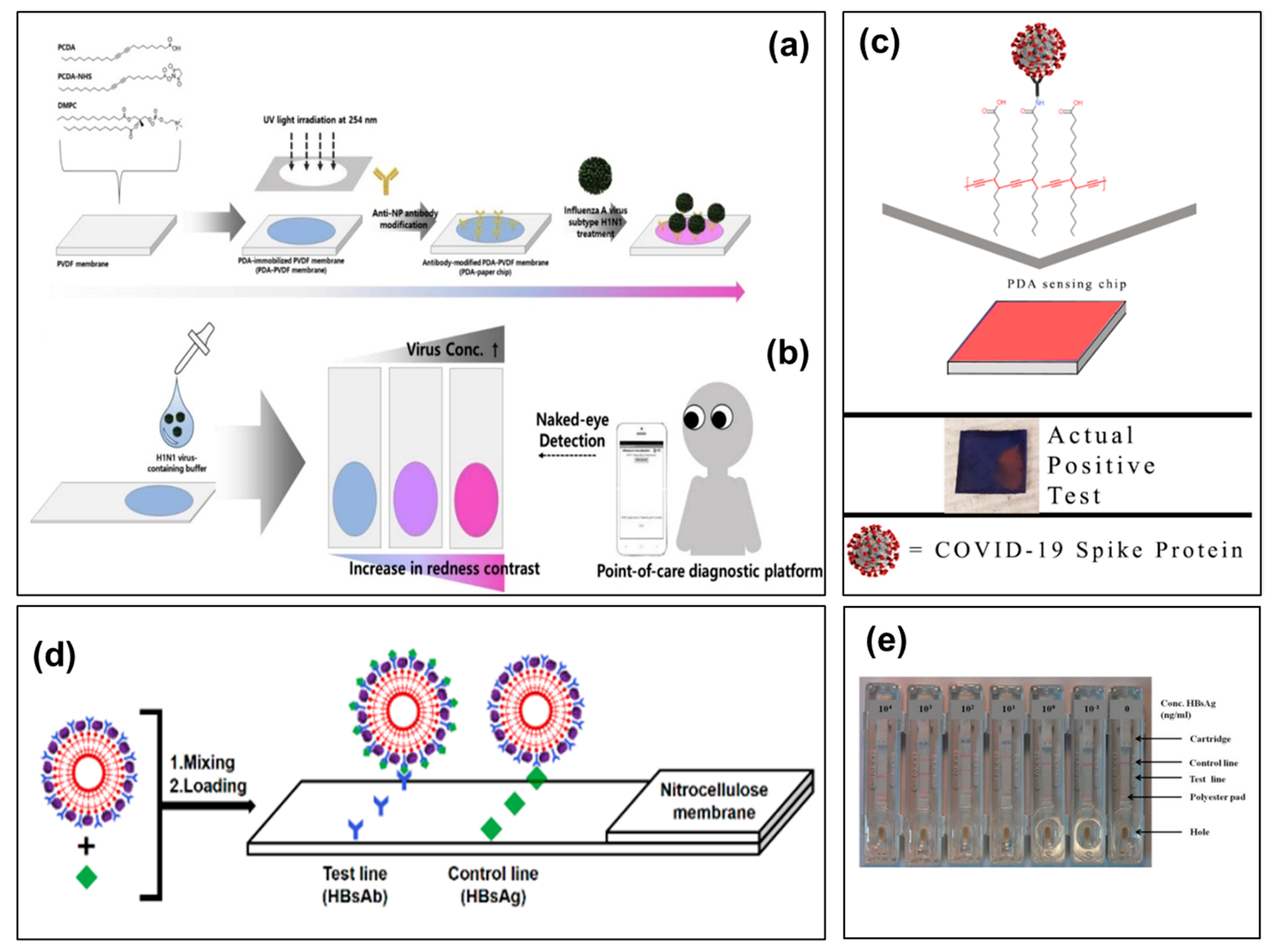 Biosensors 13 00586 g005