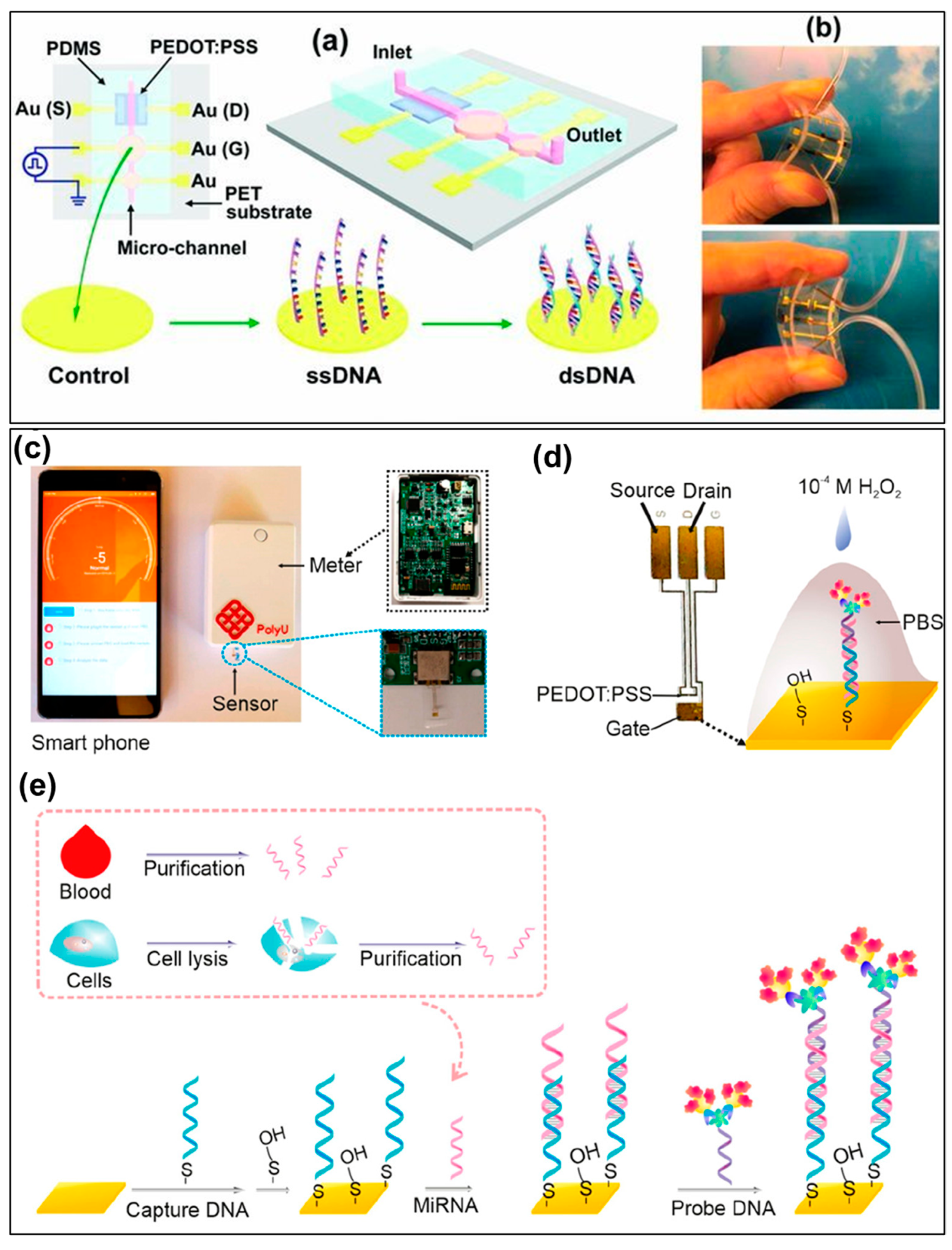 Biosensors 13 00586 g007