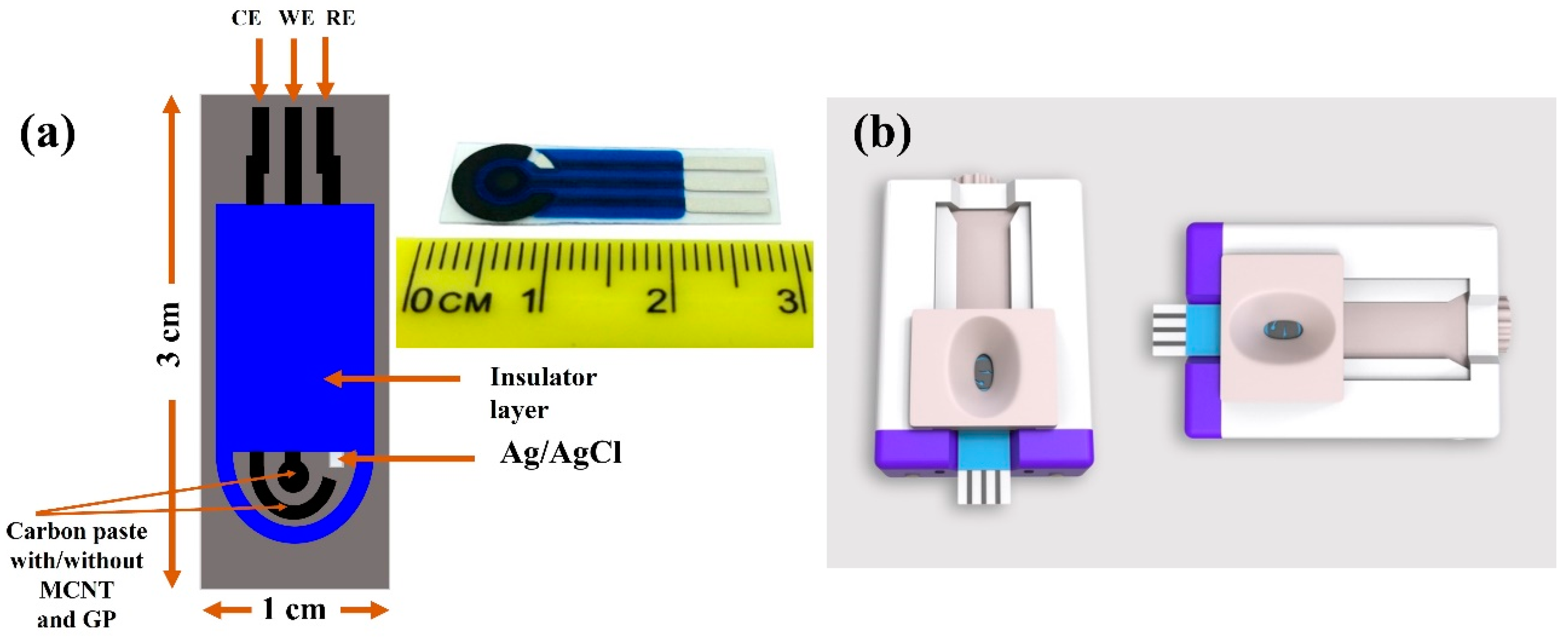 Biosensors 13 00589 g001 Biosensors 13 00589 g001