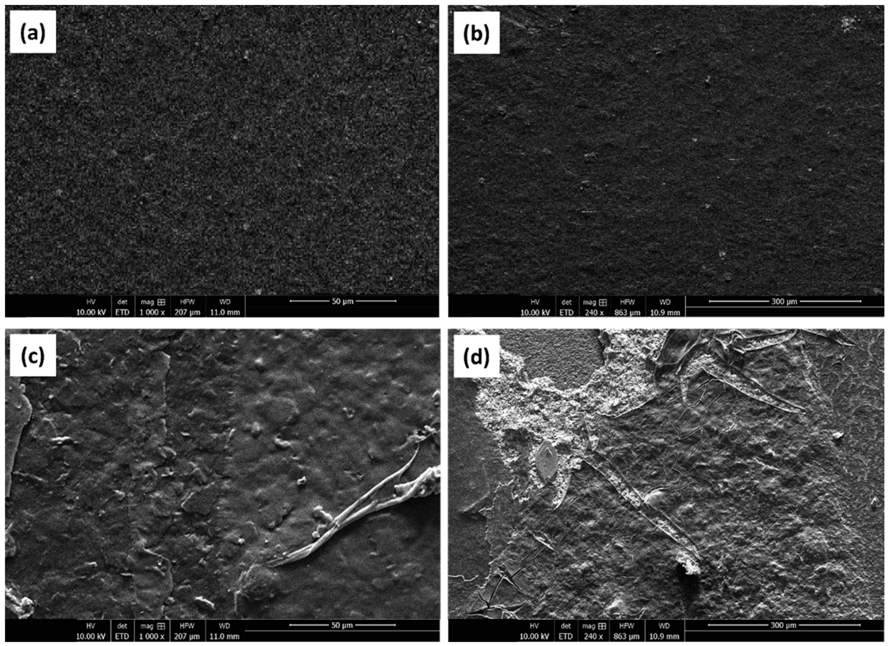 Biosensors 13 00589 g004 Biosensors 13 00589 g004