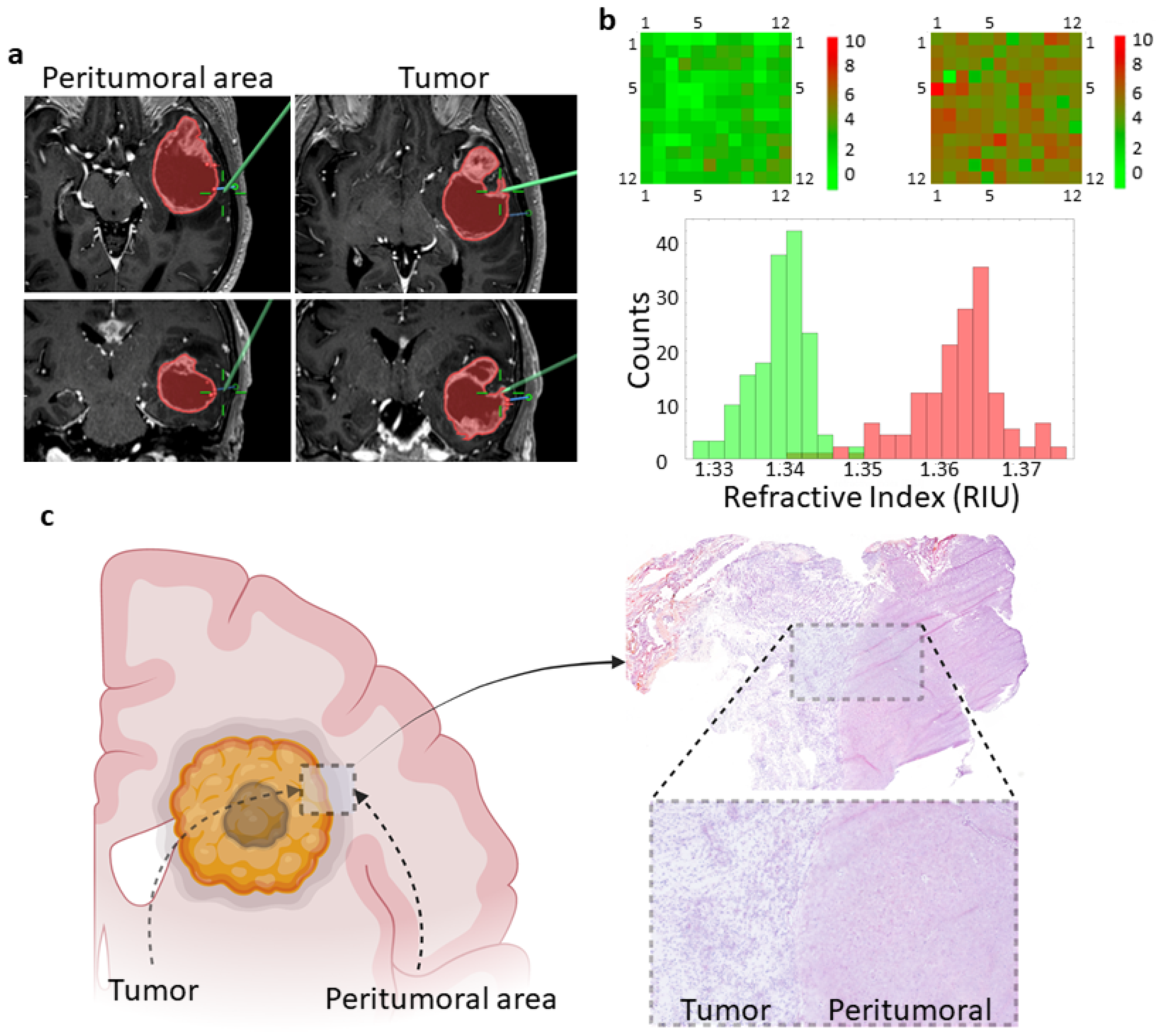 Biosensors 13 00591 g001