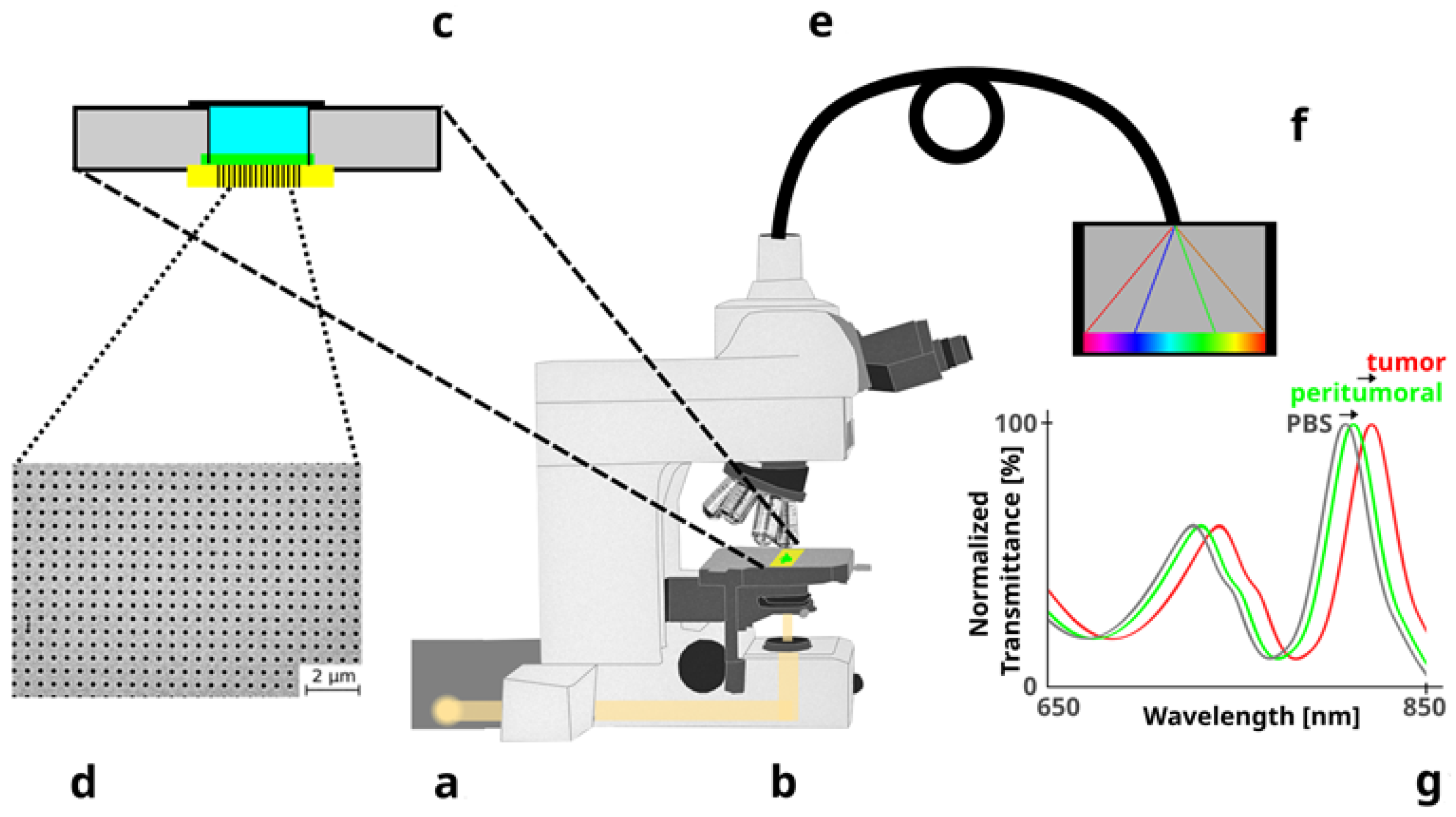 Biosensors 13 00591 g002
