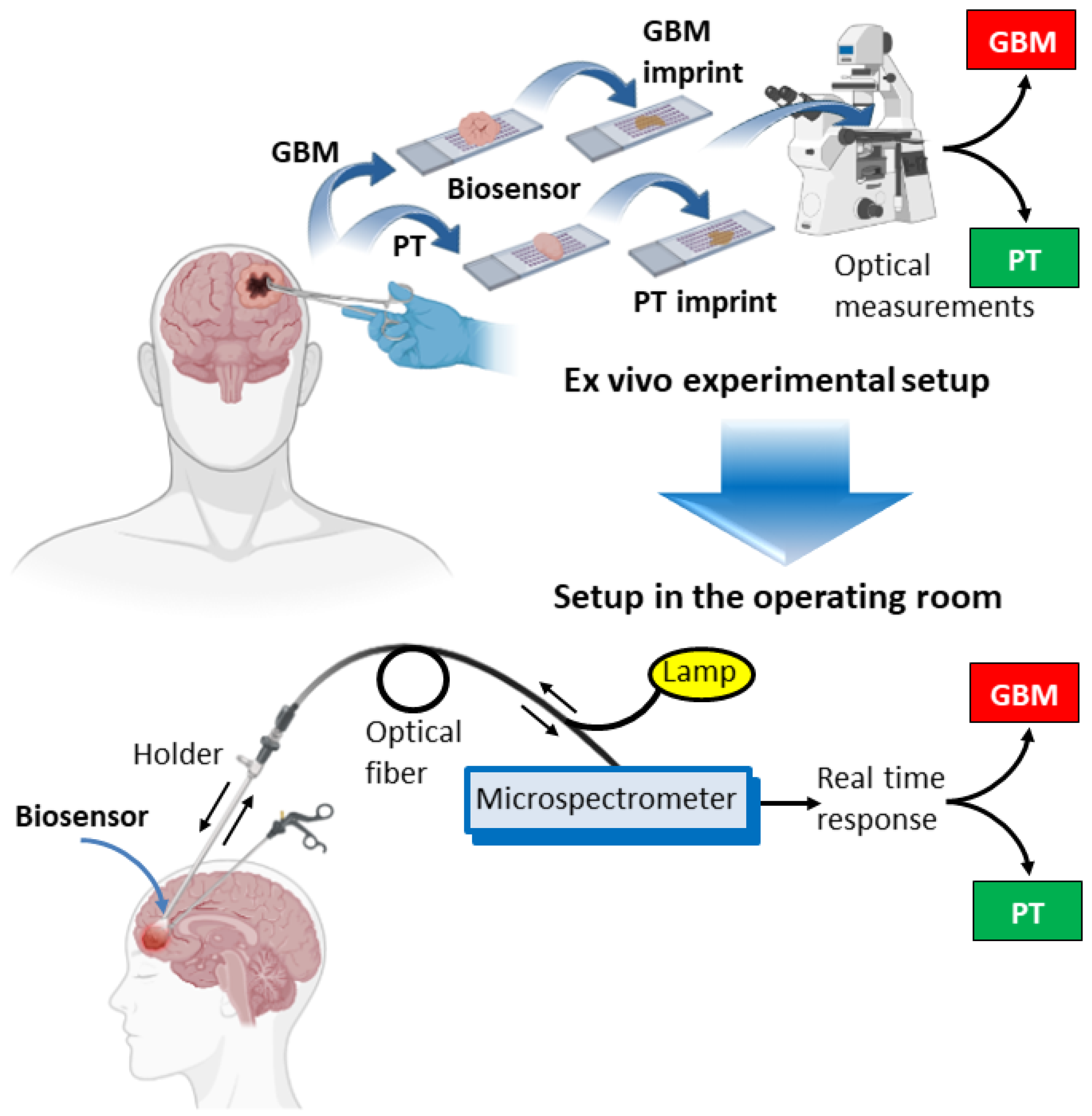 Biosensors 13 00591 g003