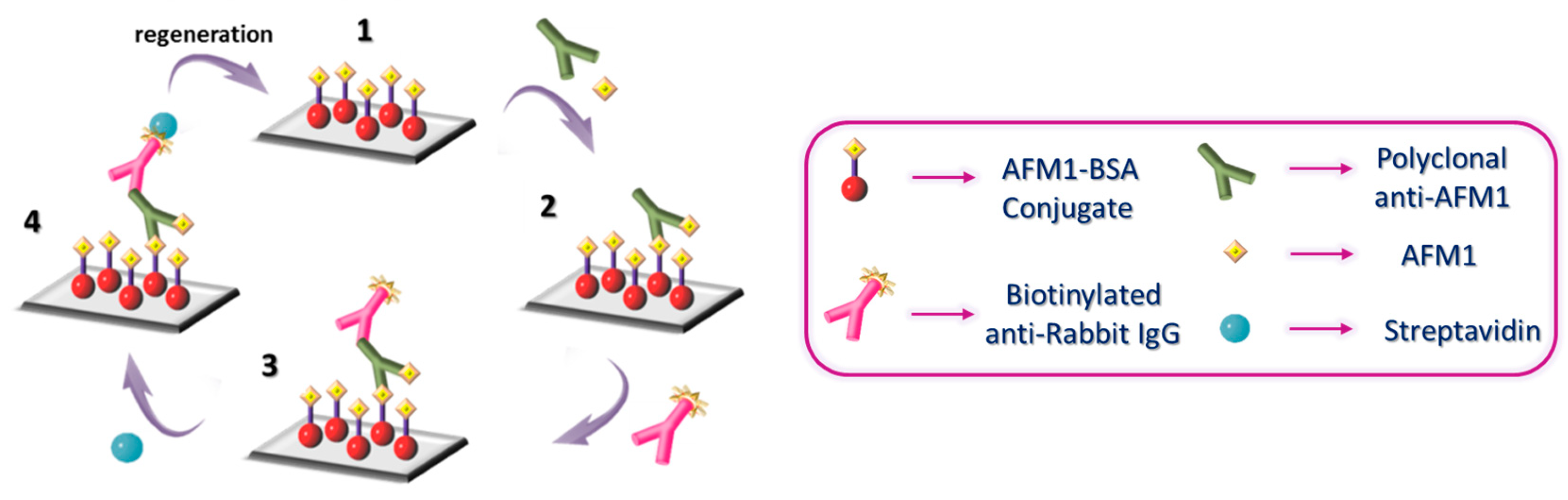Biosensors 13 00592 g002 Biosensors 13 00592 g002
