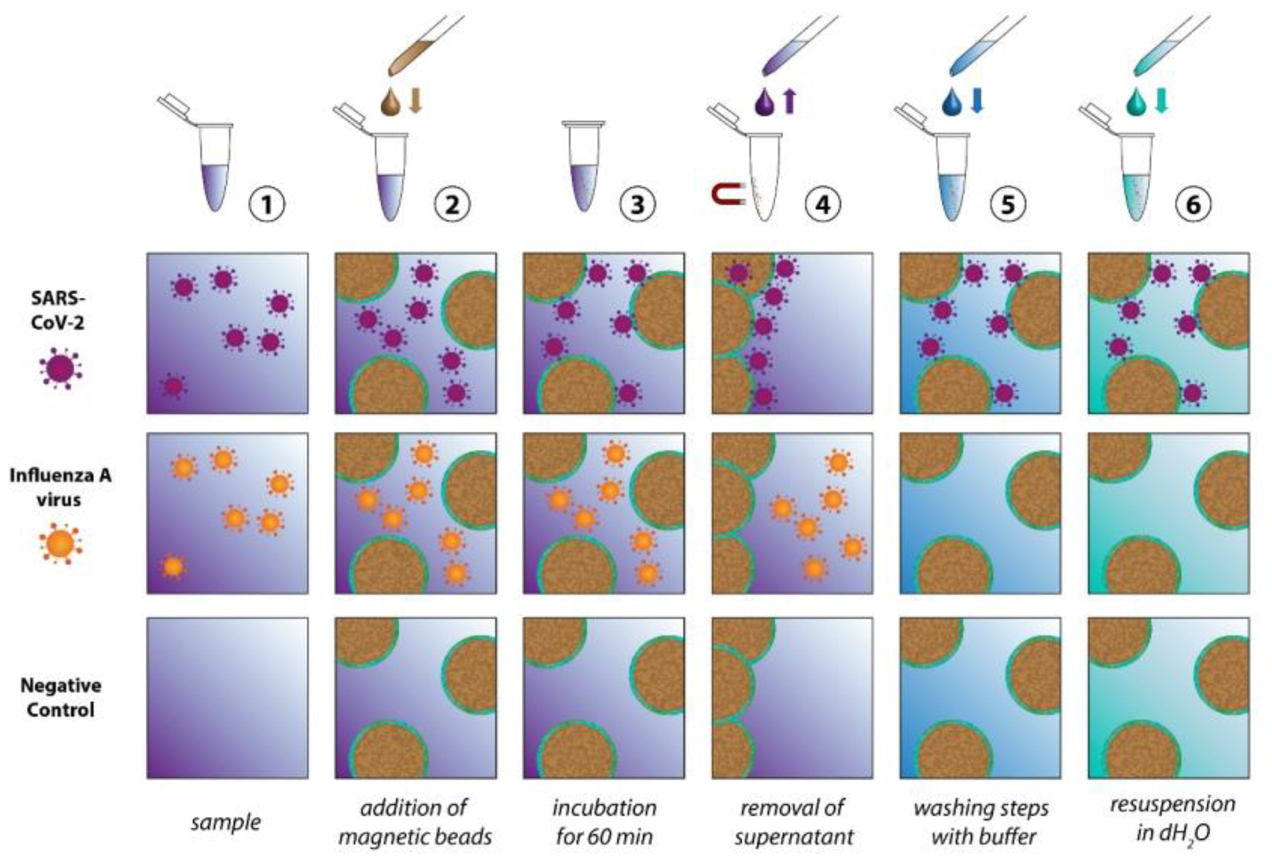Biosensors 13 00594 g002 Biosensors 13 00594 g002