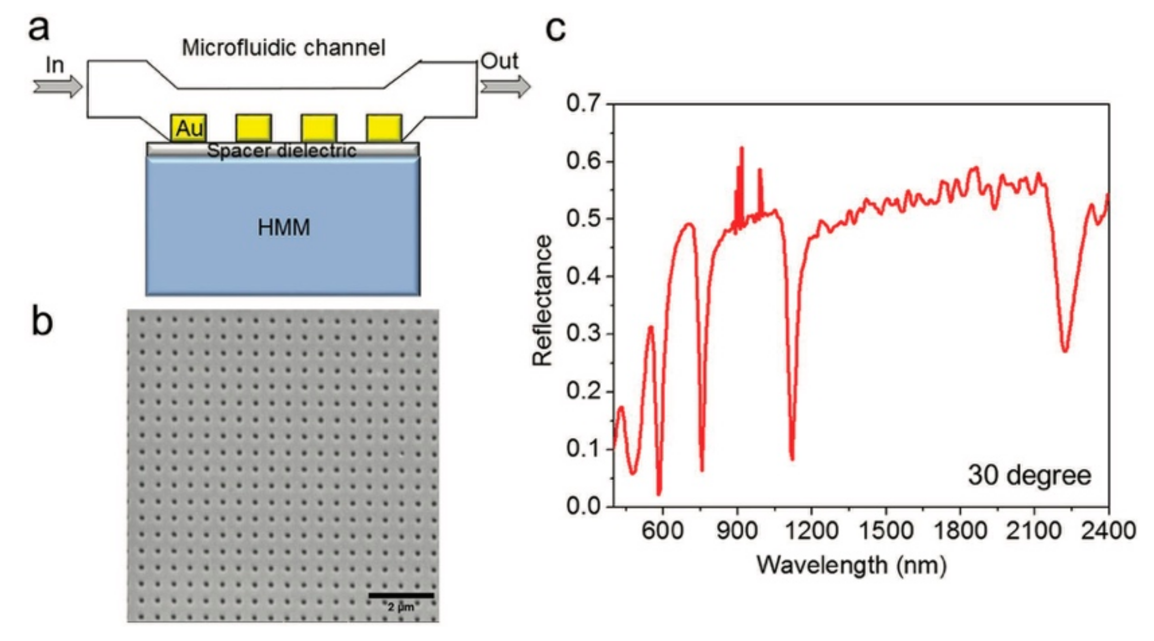 Biosensors 13 00595 g002